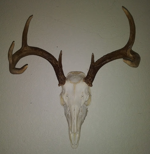 Hidden Buck Mount by cookin83 | Download free STL model | Printables.com