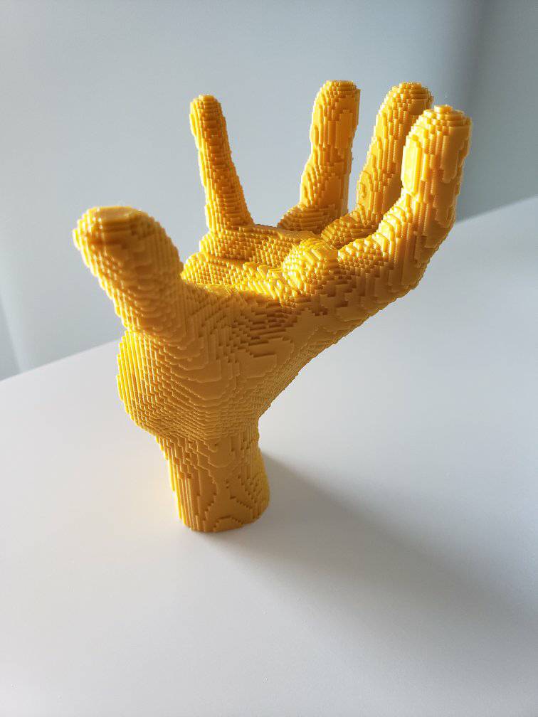 Voxel hand