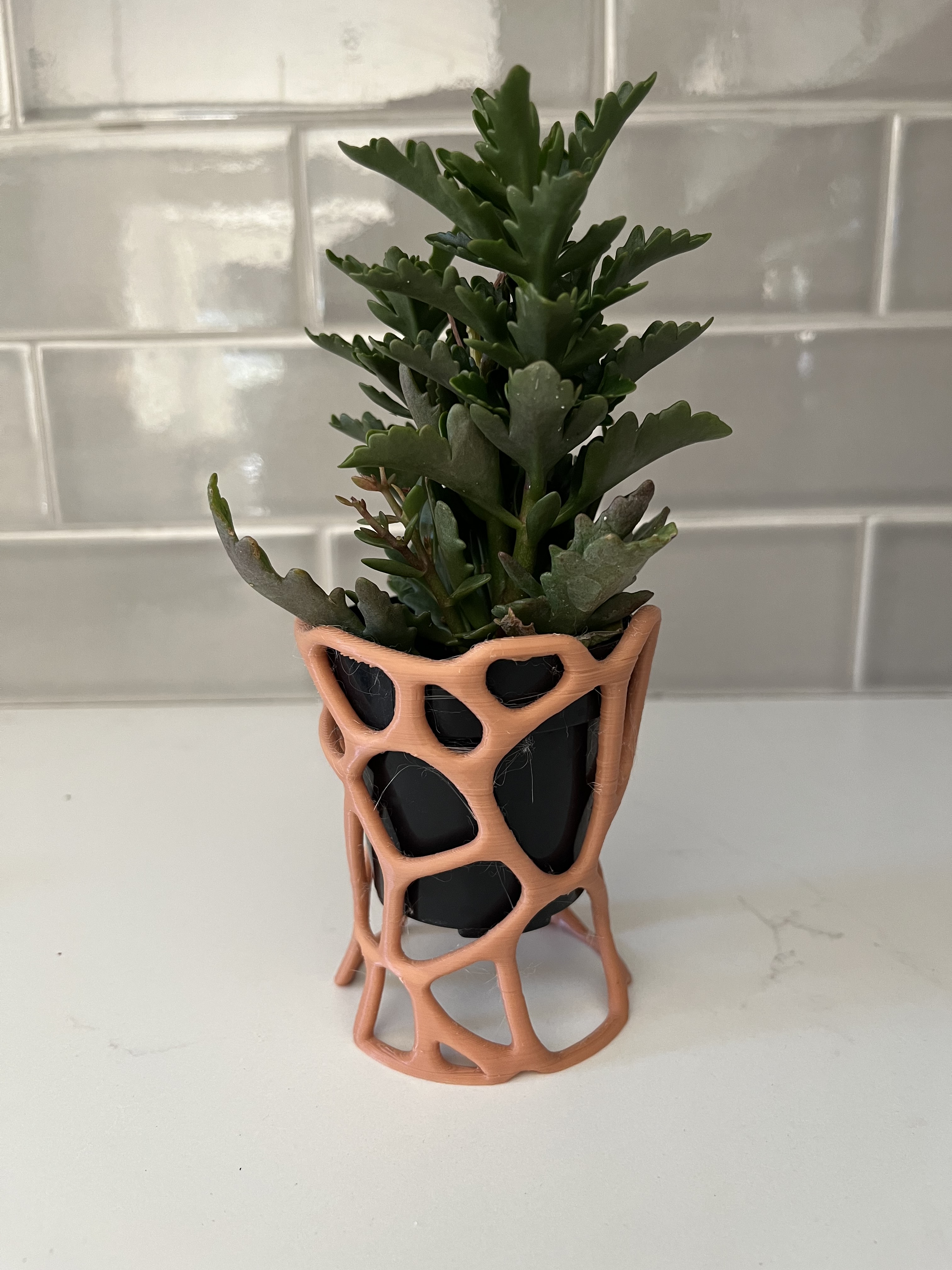 Voronoi flower pot