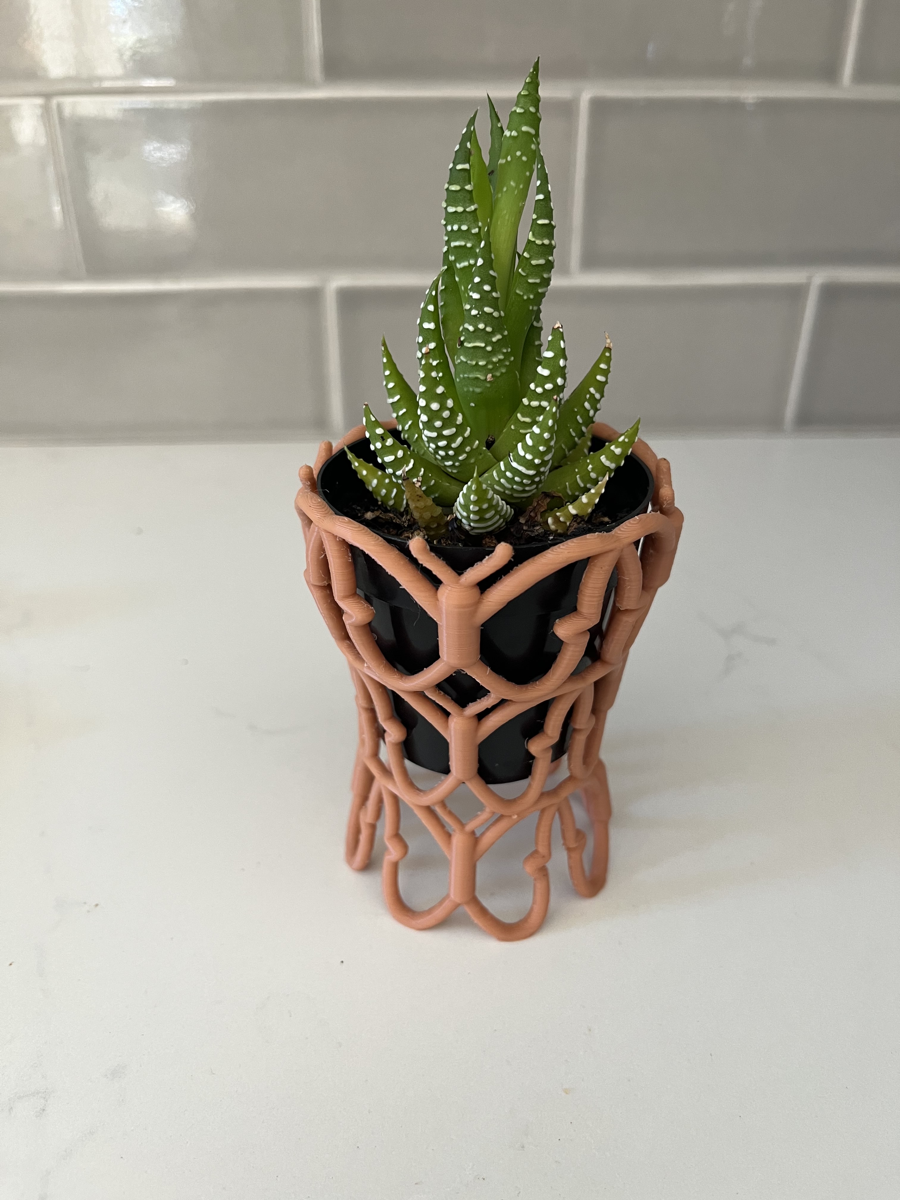 Tessellated Butterfly Planter