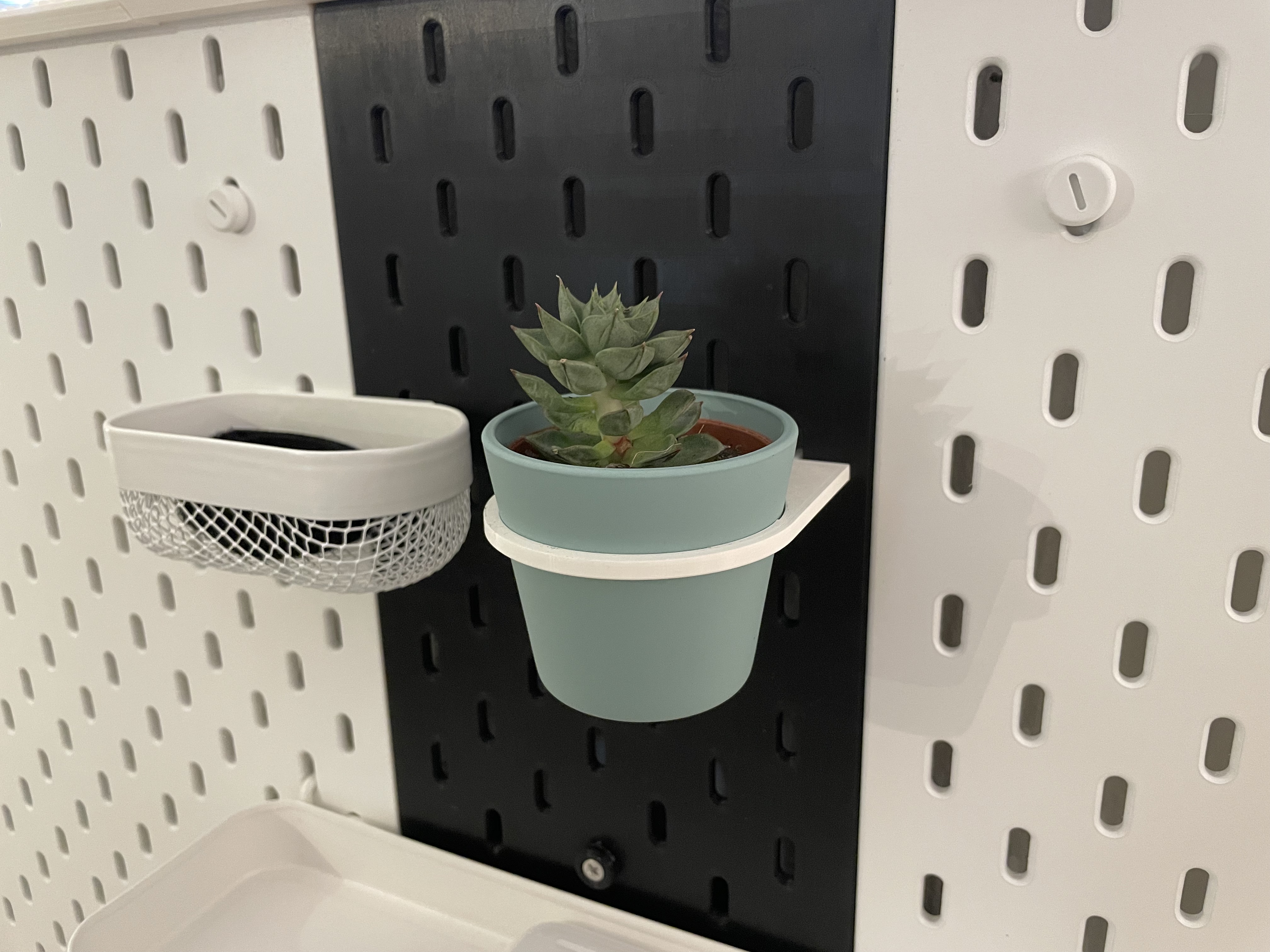 Skadis plant holder