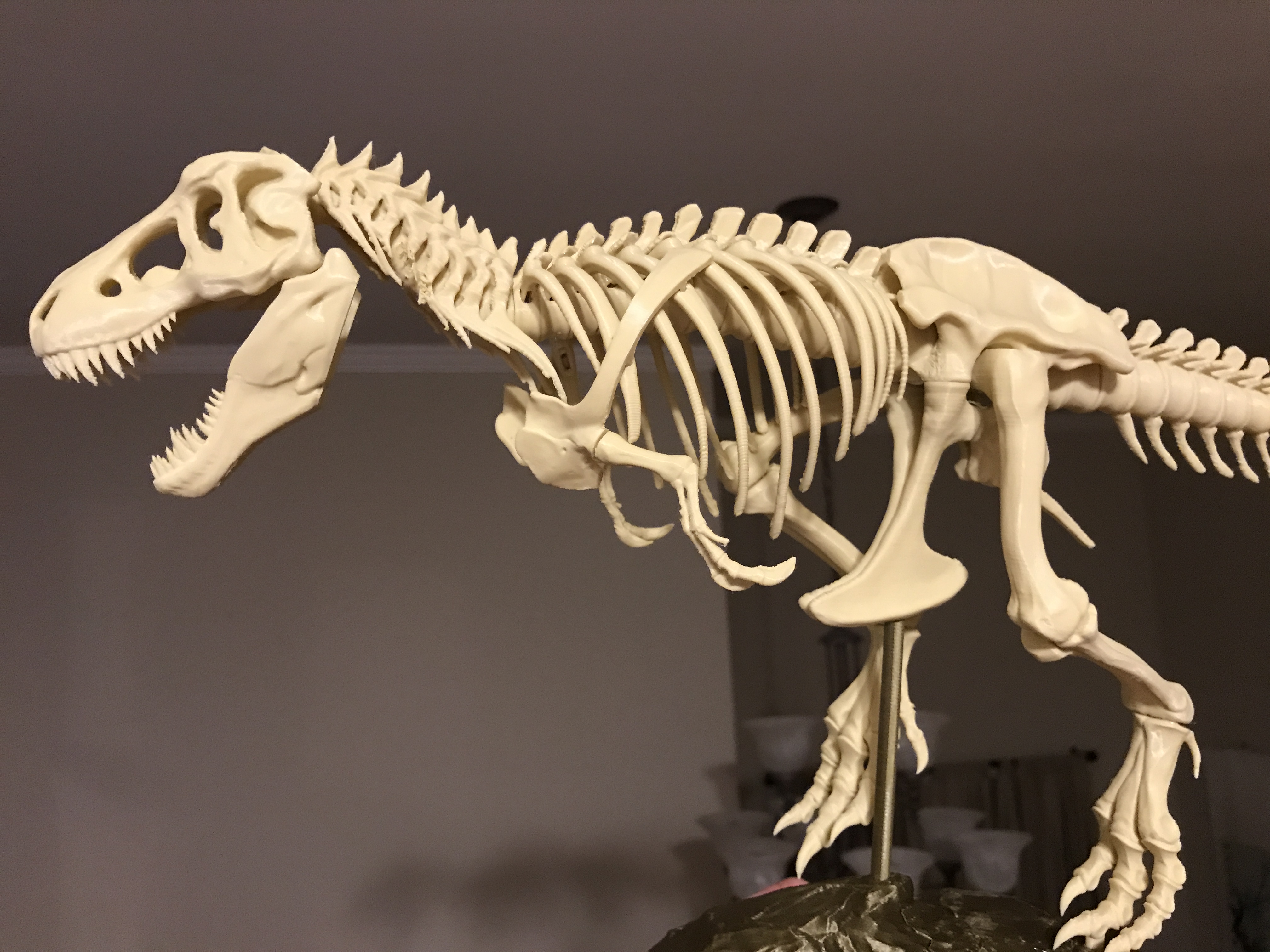 T-Rex Skeleton fixed and printable