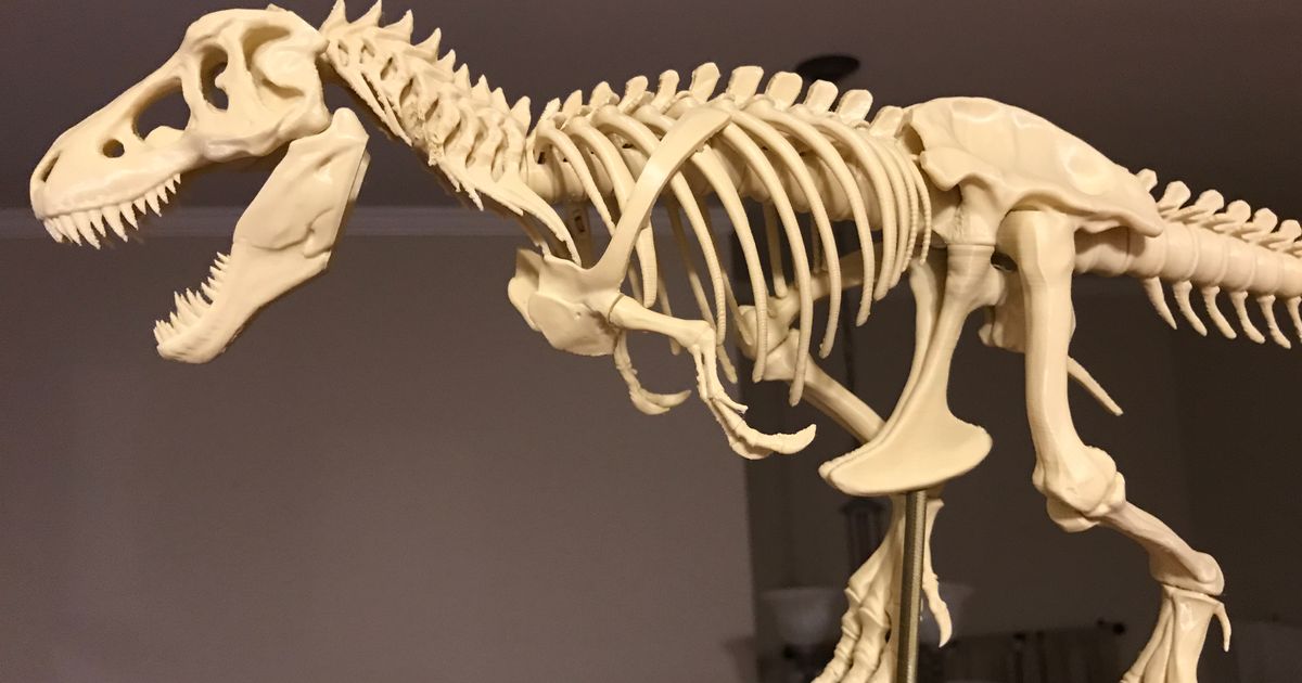 Free STL file T-Rex Skeleton 🦖・Design to download and 3D print・Cults