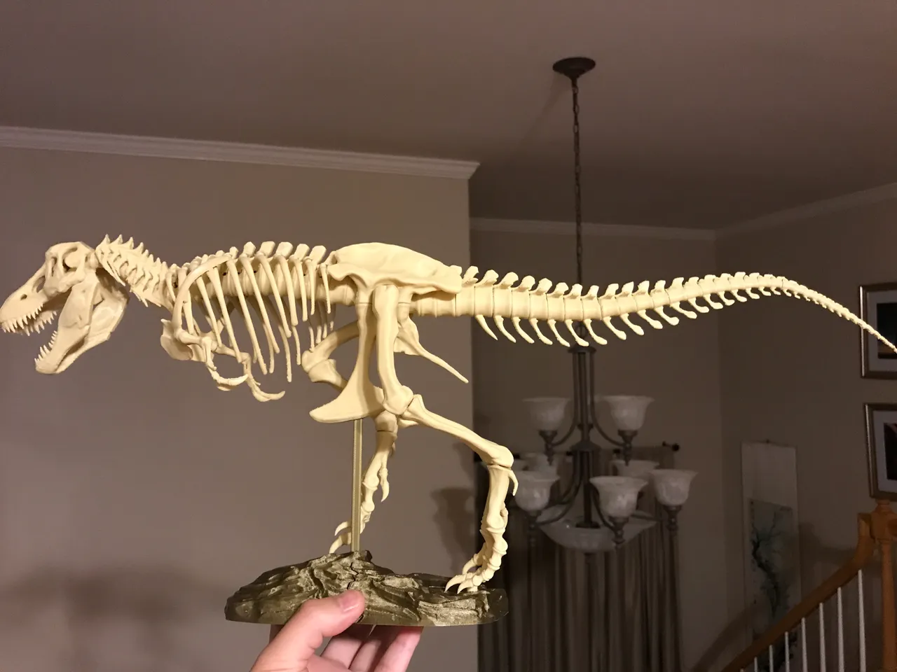 Free STL file T-Rex Skeleton 🦖・Design to download and 3D print・Cults