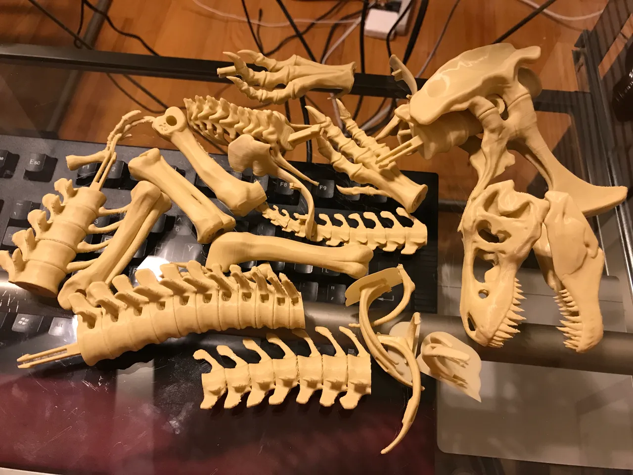 Free STL file T-Rex Skeleton 🦖・Design to download and 3D print・Cults