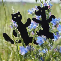 Pejsek a kočička / A doggie and a pussycat