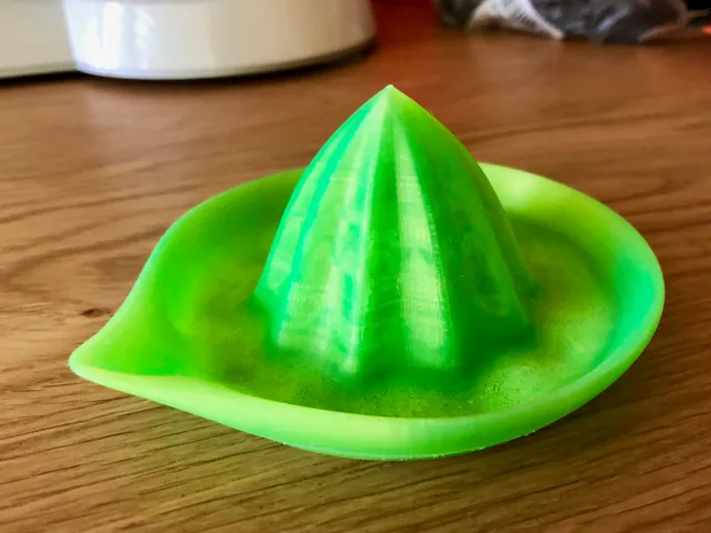 Fancy Citrus Juicer