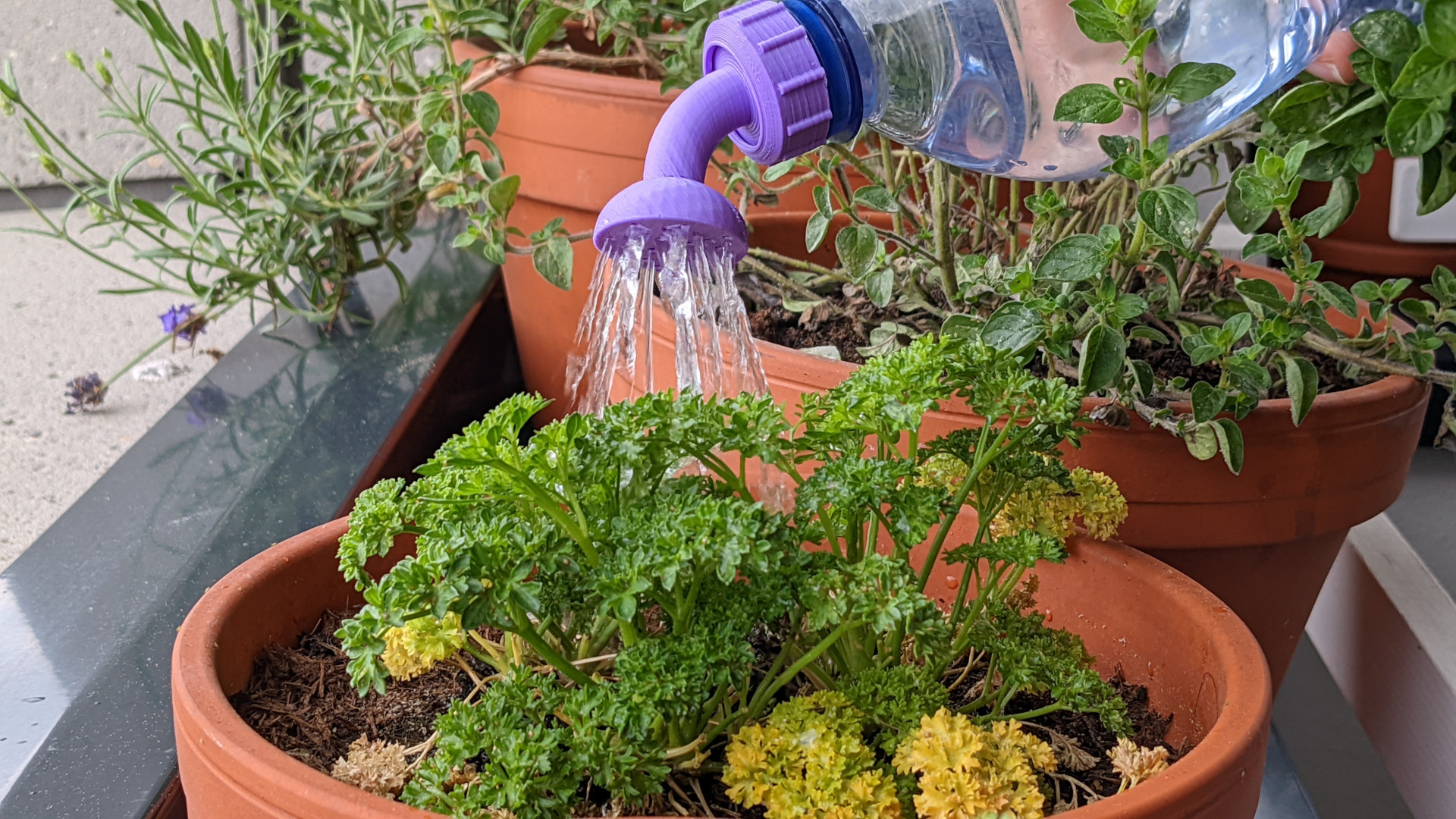 Miniatura 4 do modelo 3D Watering bottle cap