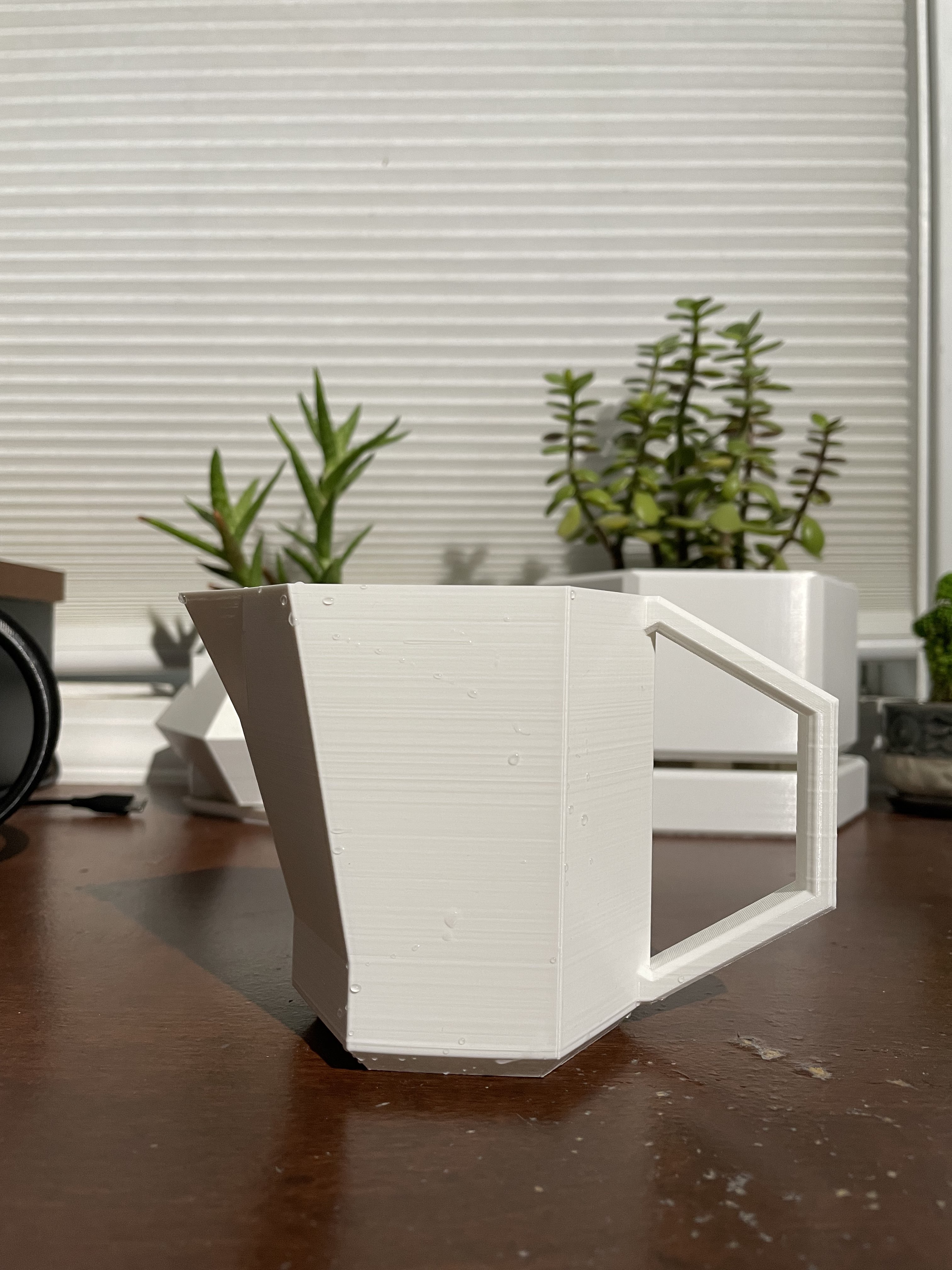Hexagonal Watering Can
