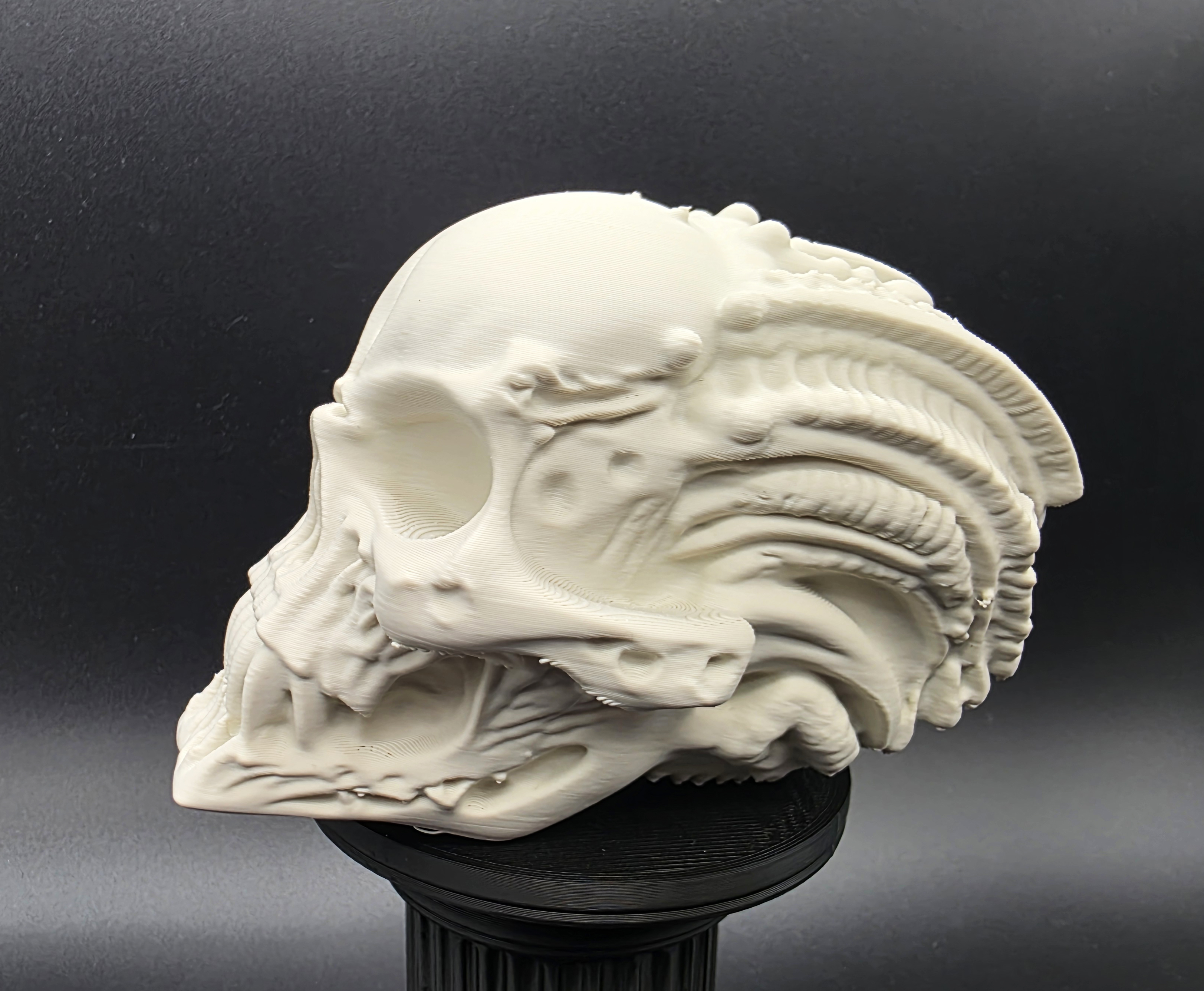 Miniatura 3 do modelo 3D Alien Devourer Skull