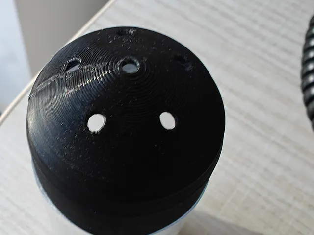 Salt shaker lid