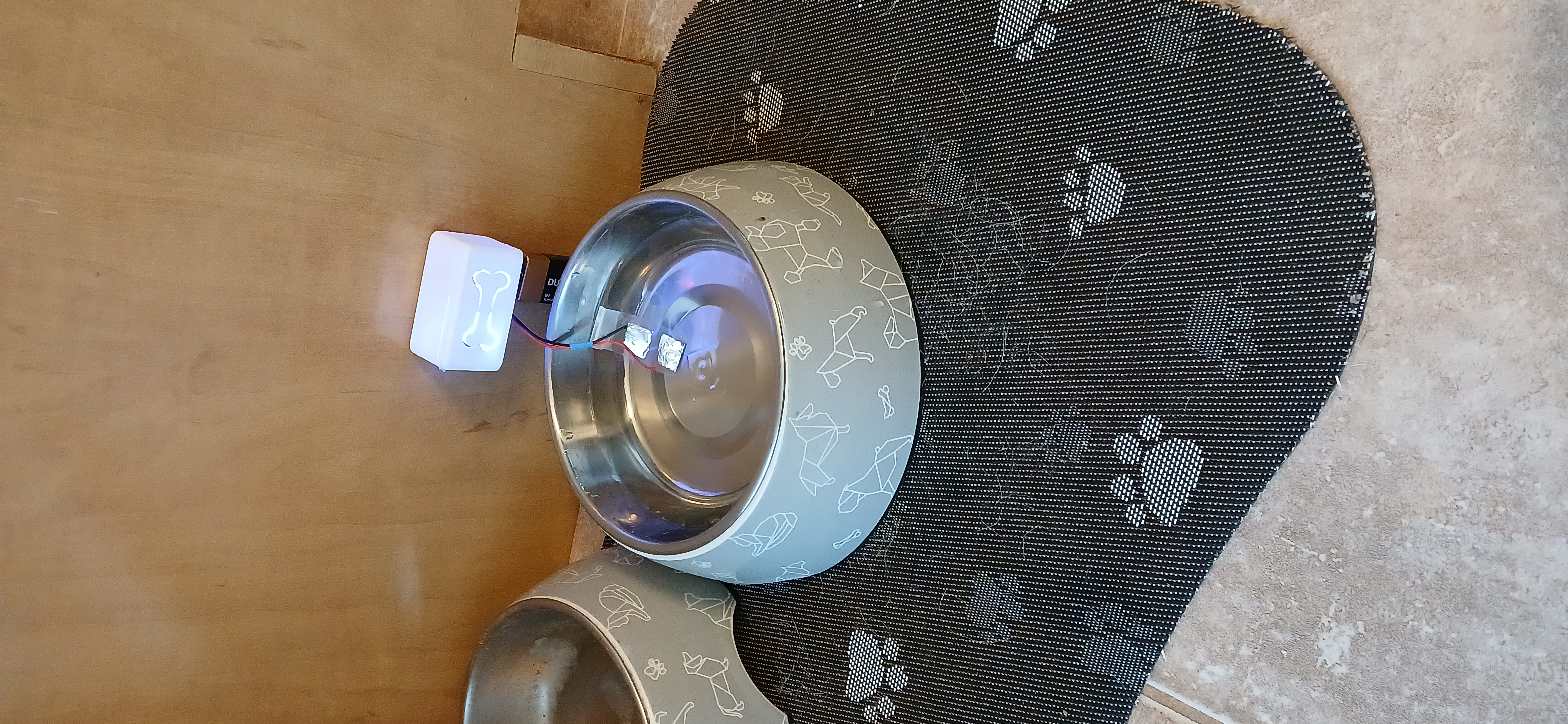 eWater alarm