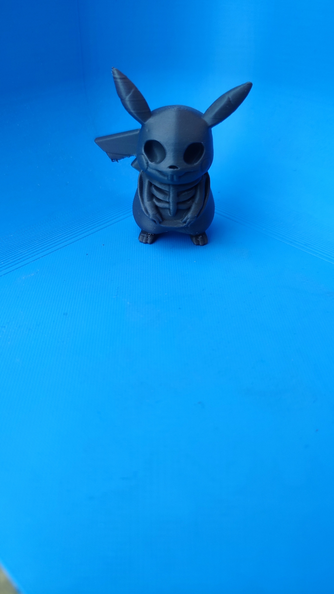 Pikachu Skleleton — thumbnail 3