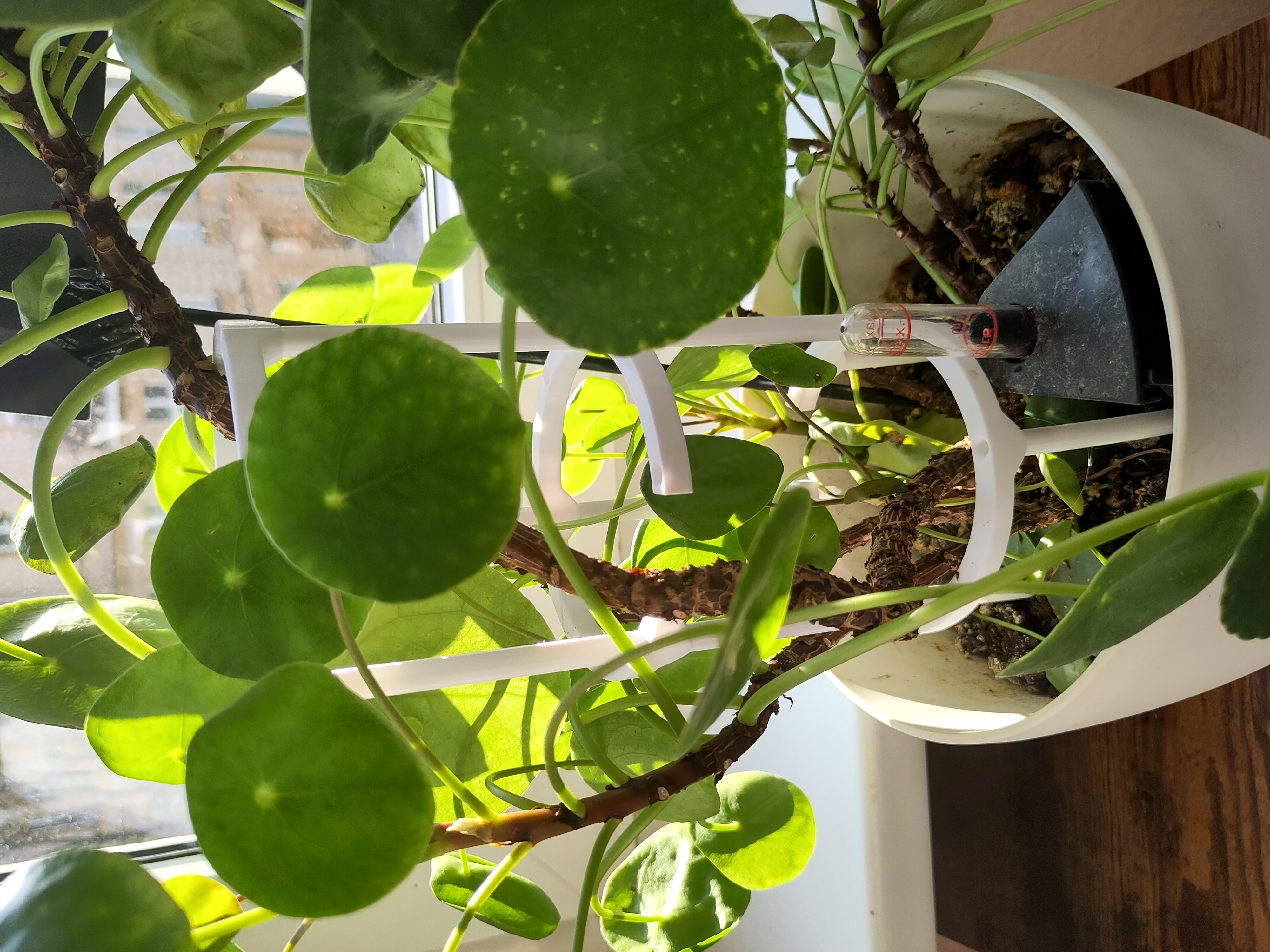 Stackable Plant Support with opening
