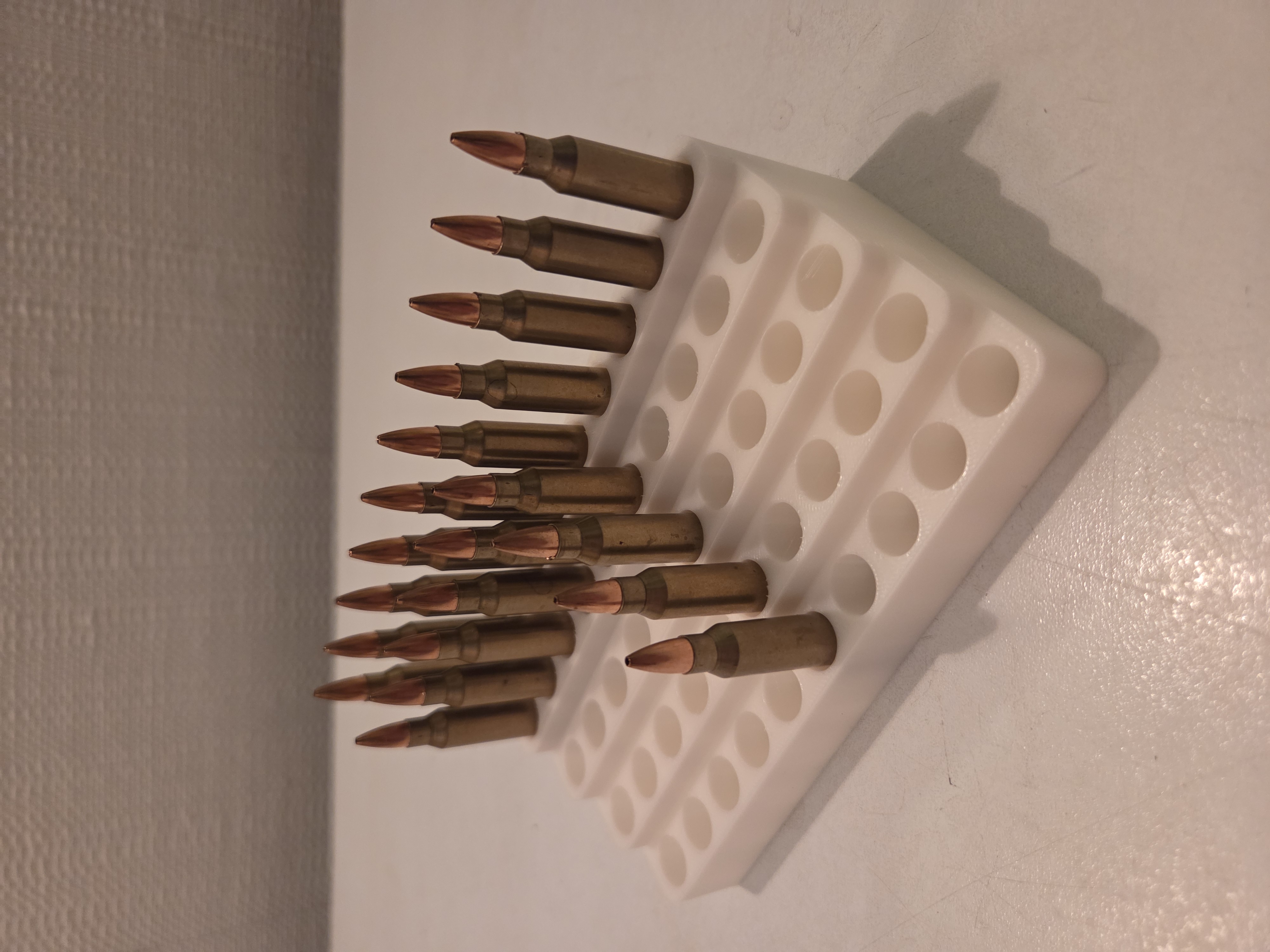 Reloading tray -> .223