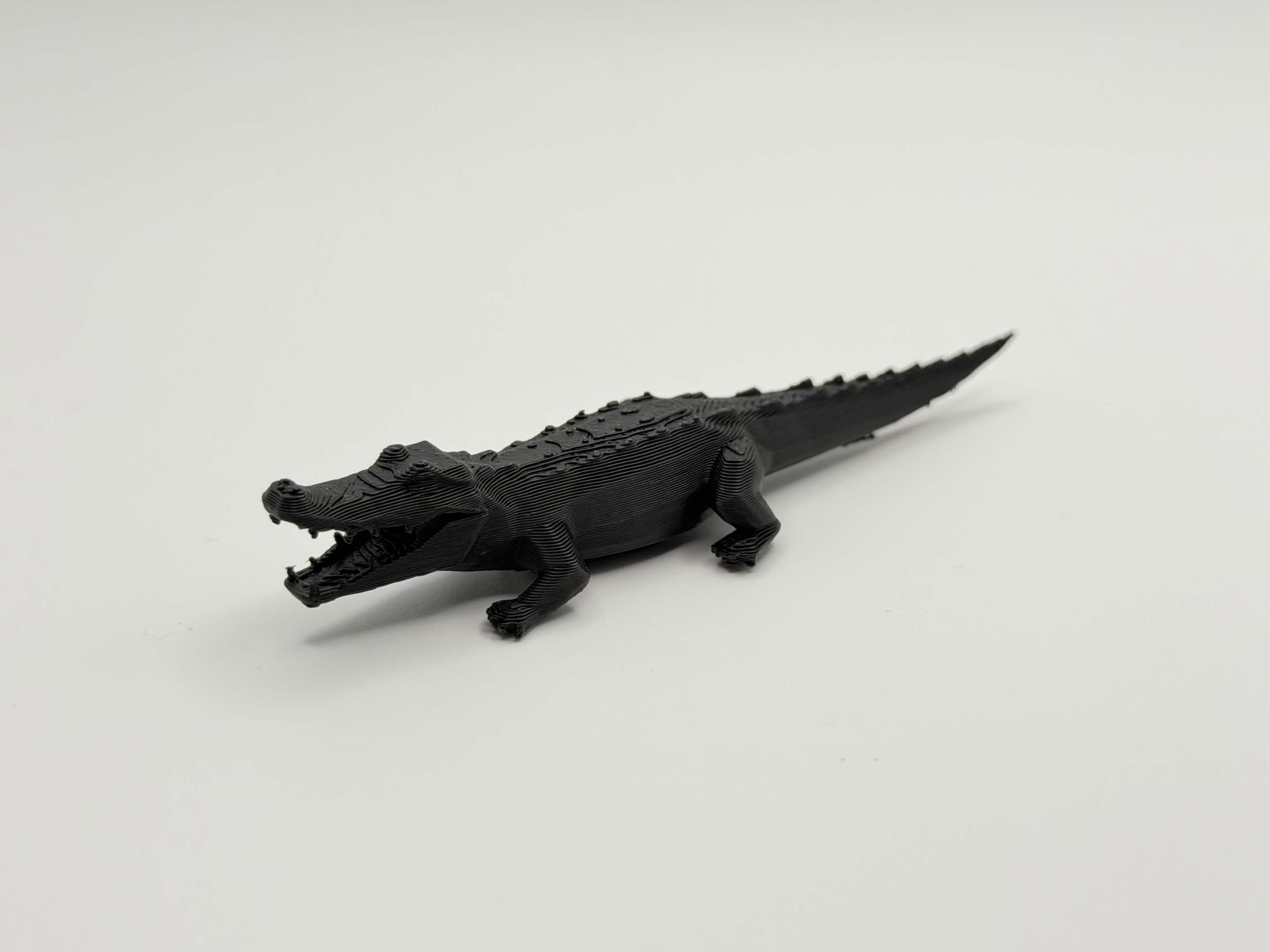 Hungry Crocodile
