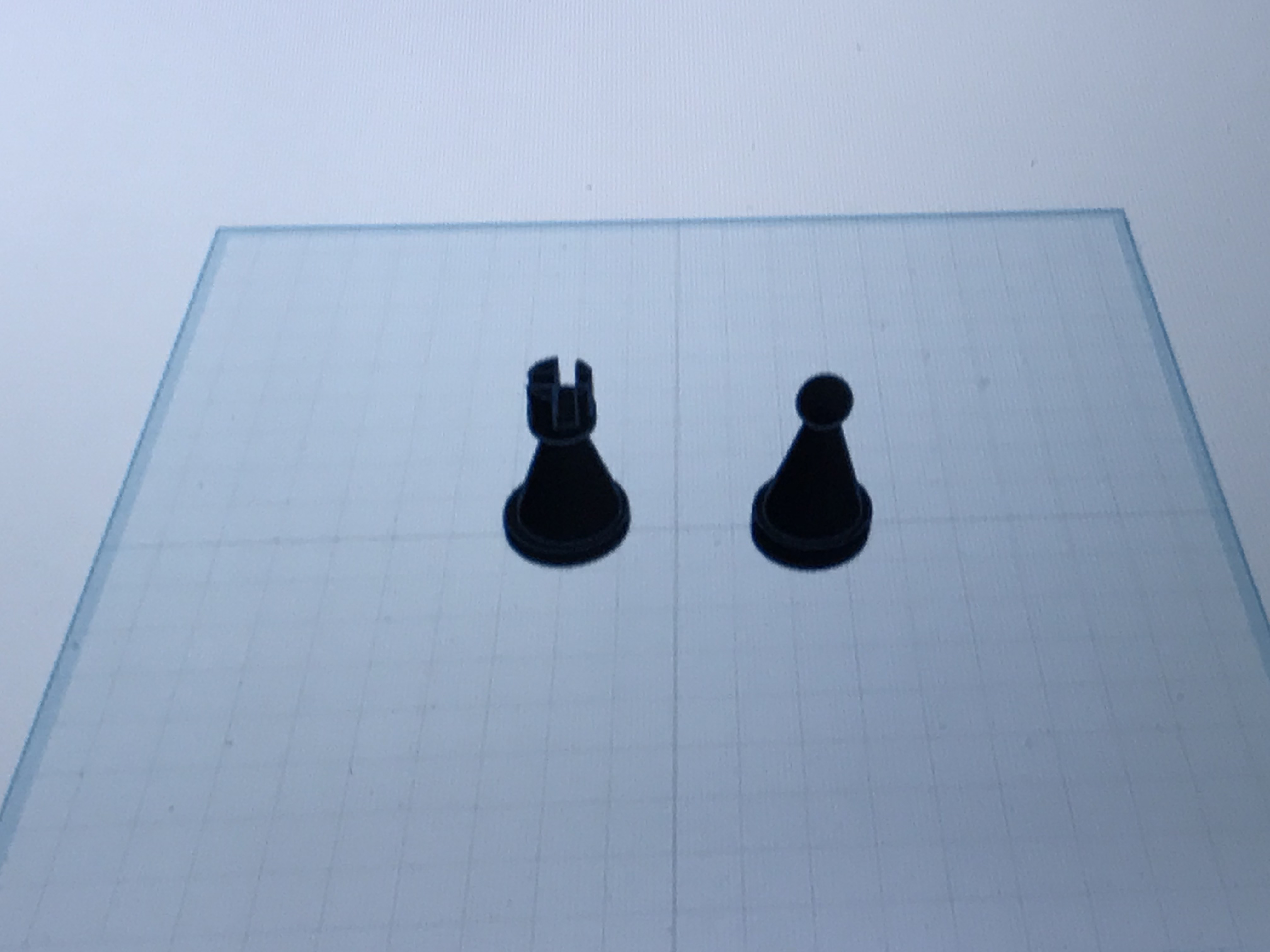 a simple chess rook and pawn