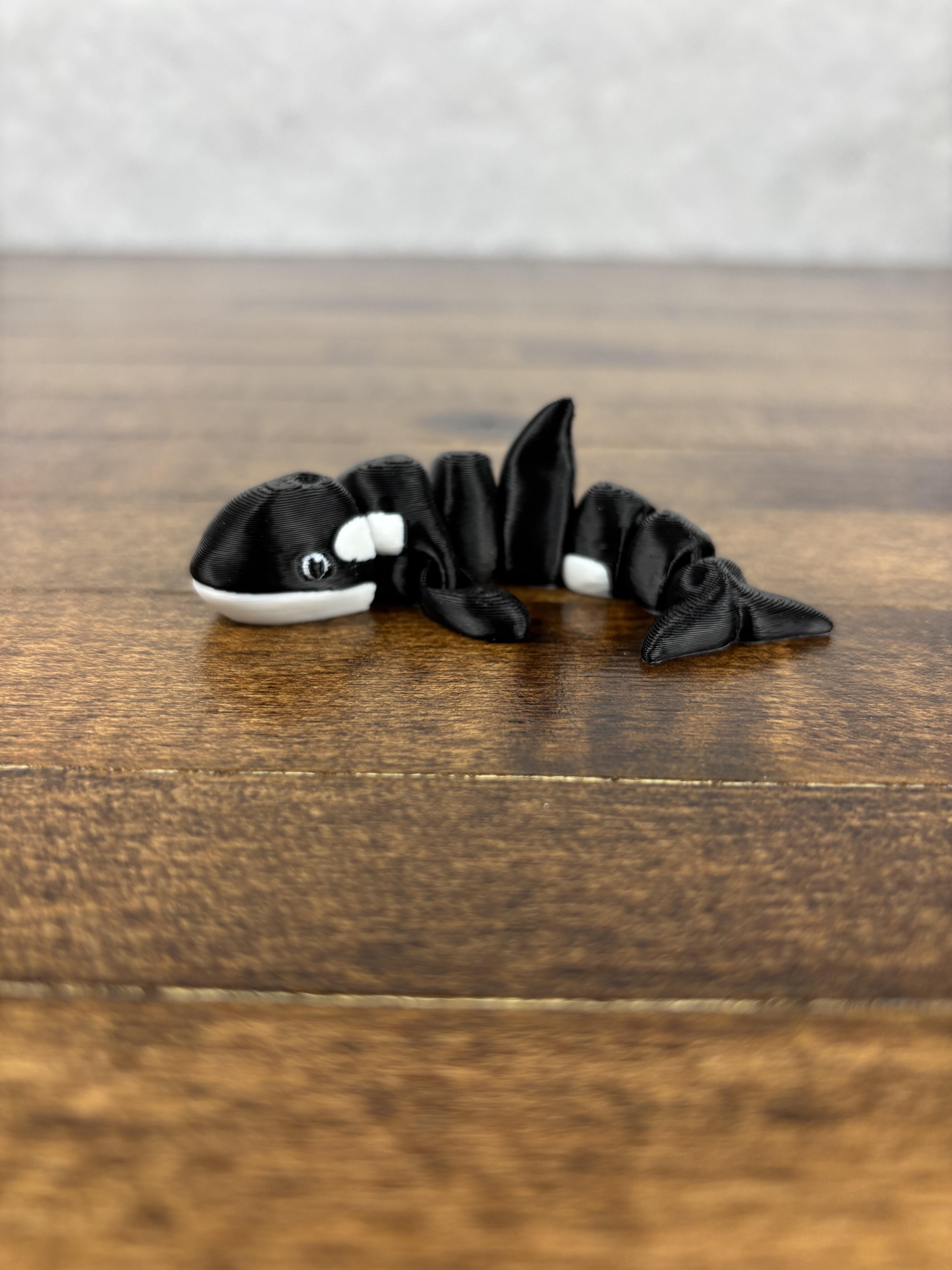 Killer Whale Fidget