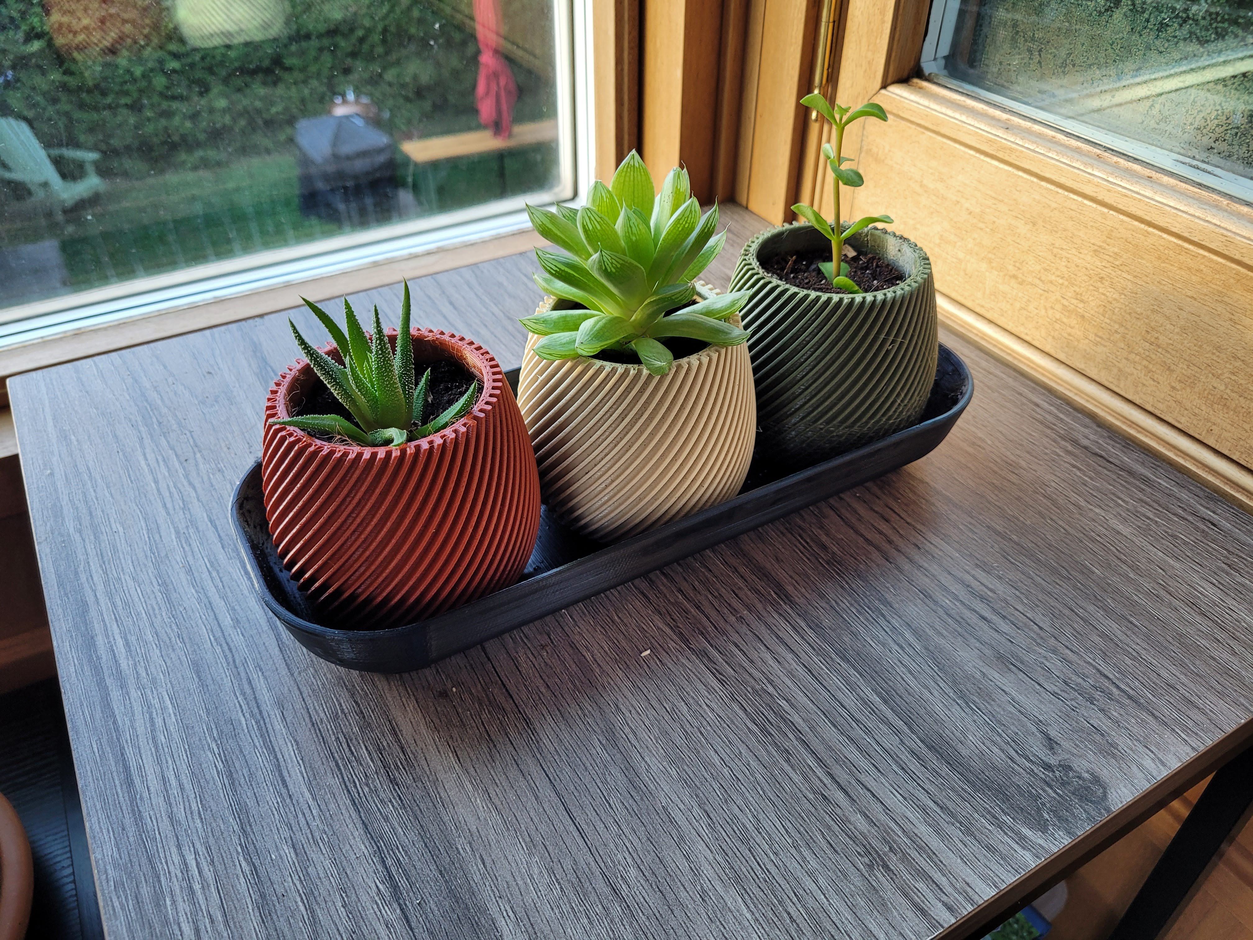 Plant saucer for succulents and cacti