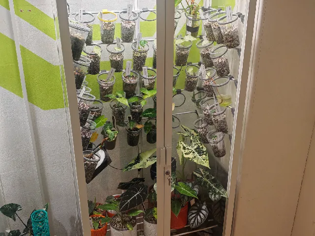 IKEA Milsbo cabinet - grow station