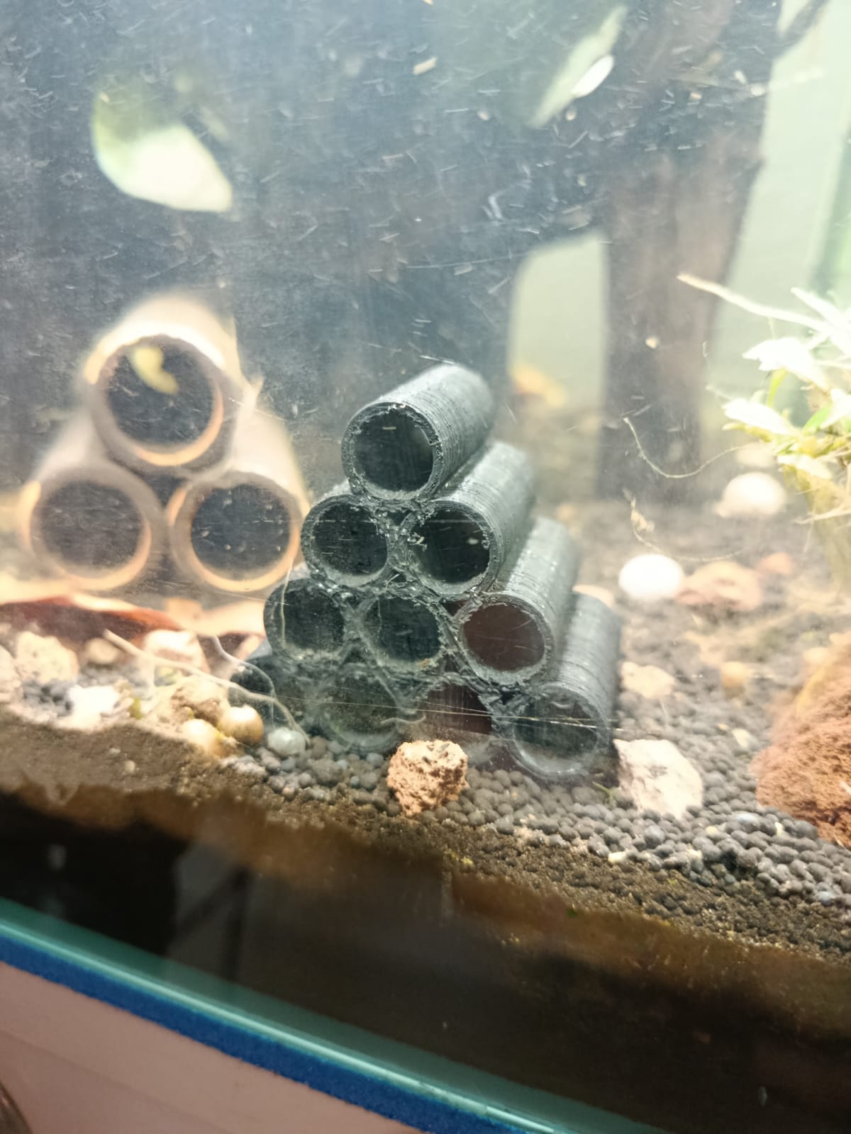 Aquarium Shrimp Tubes
