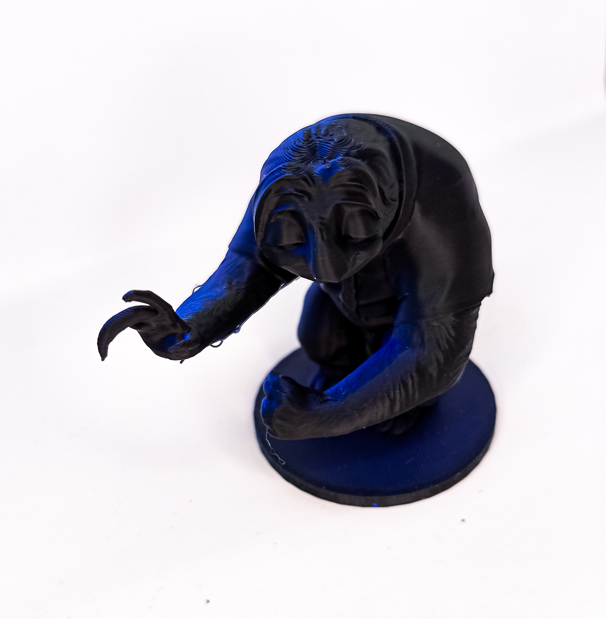 Flash sloth from zootopia