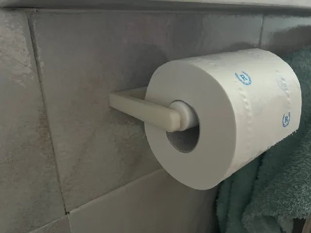 Toiler paper holder (for spring loaded roller)