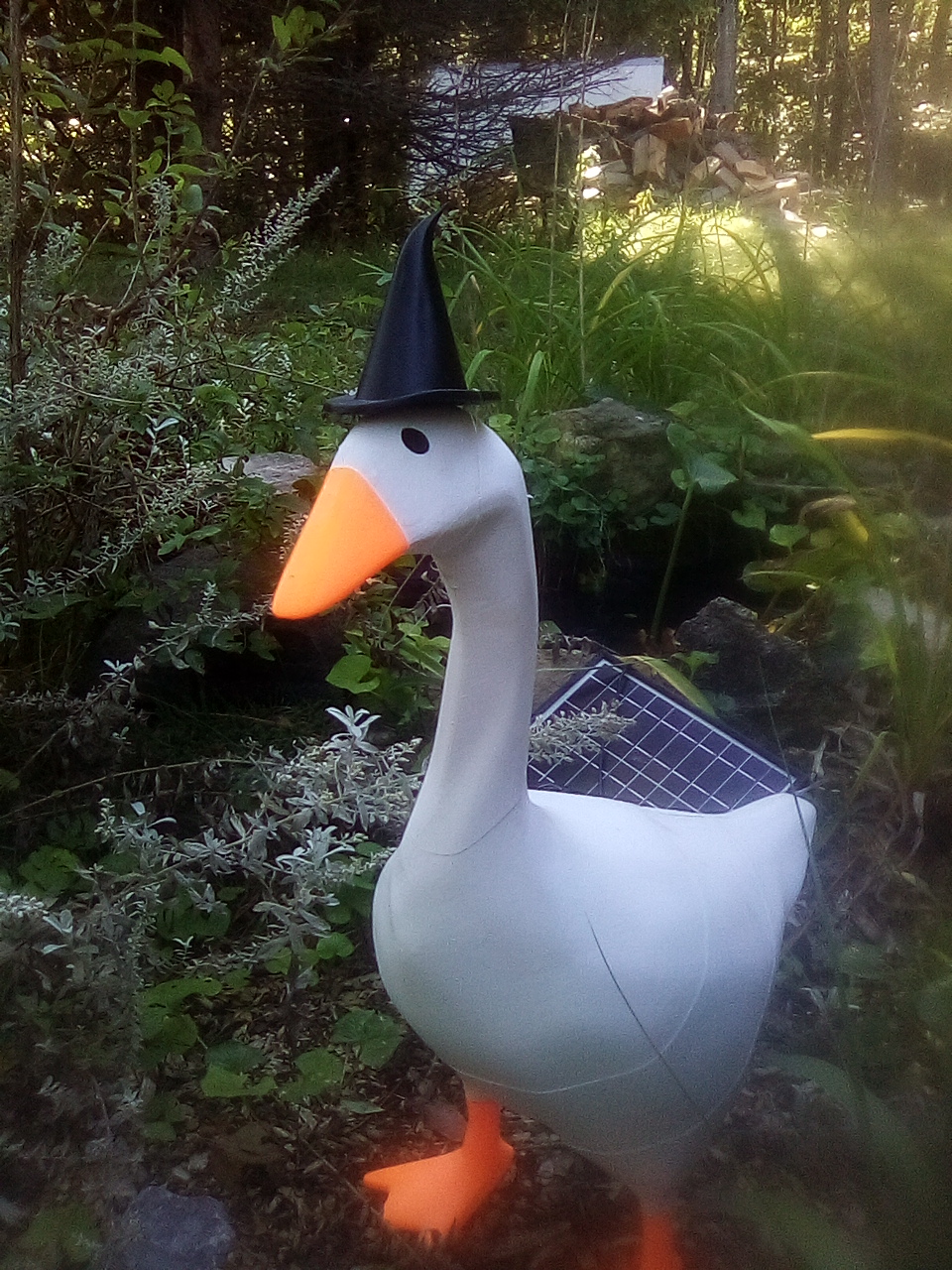Porch goose wizard hat