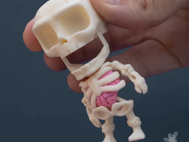 Pop-Skeleton