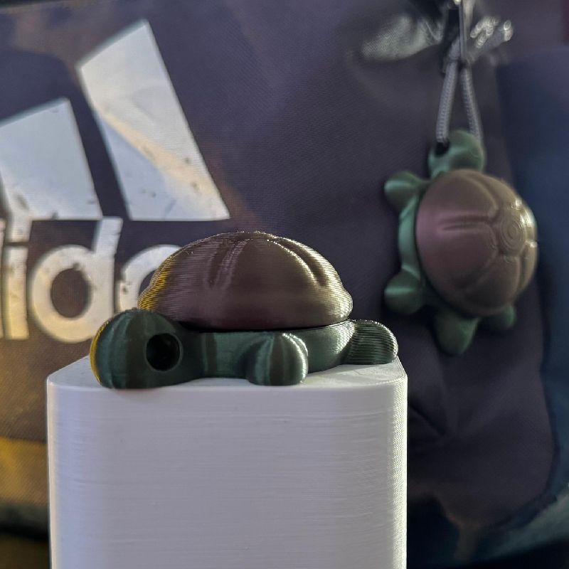 Turtle pod by Lets PRINT!!!!! | Download free STL model | Printables.com