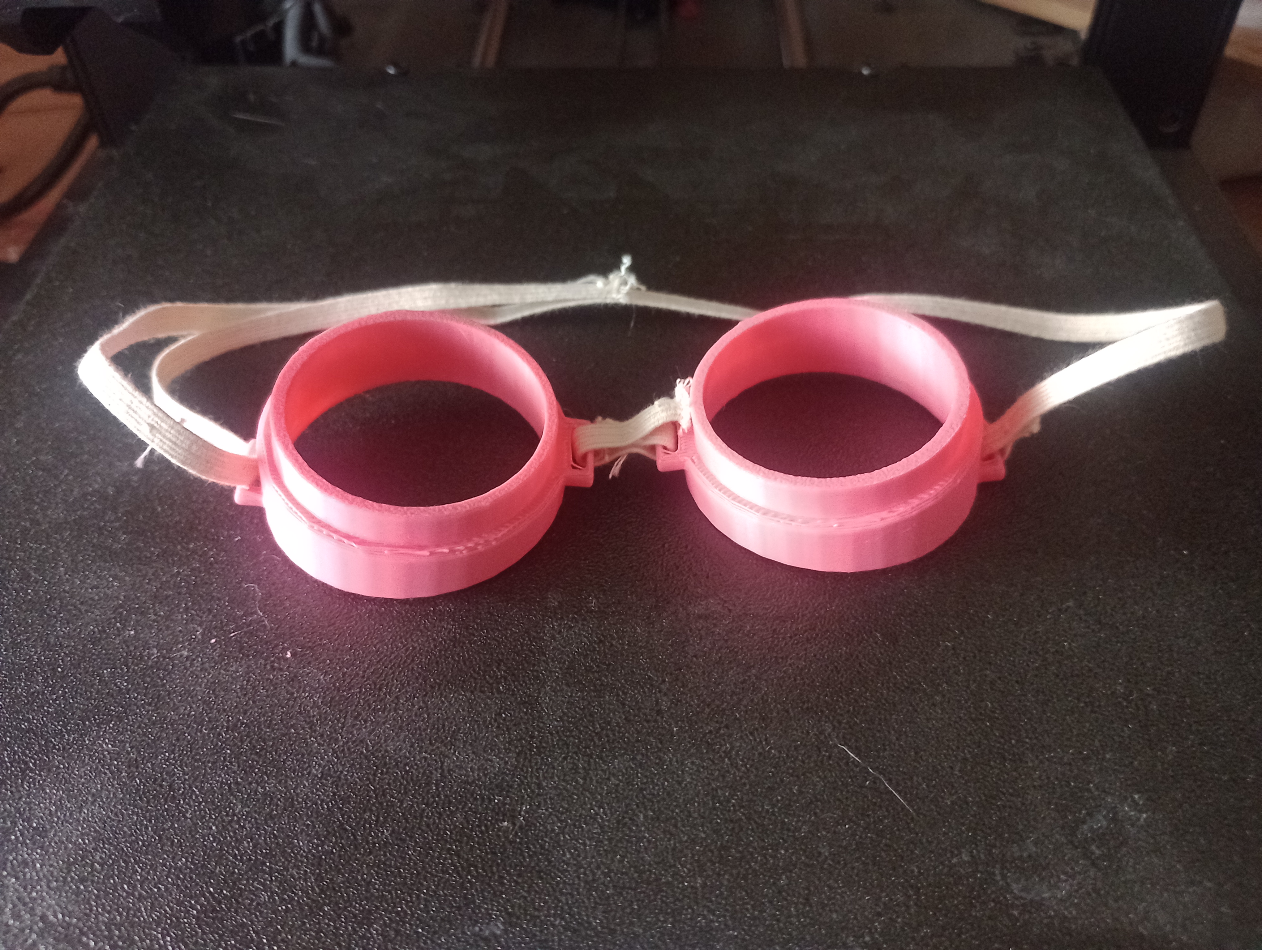 Paw patrol Skye goggles