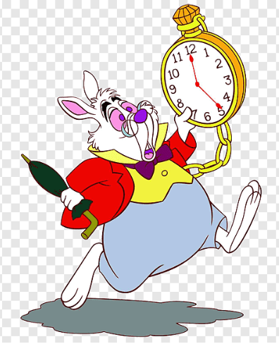Rabbit