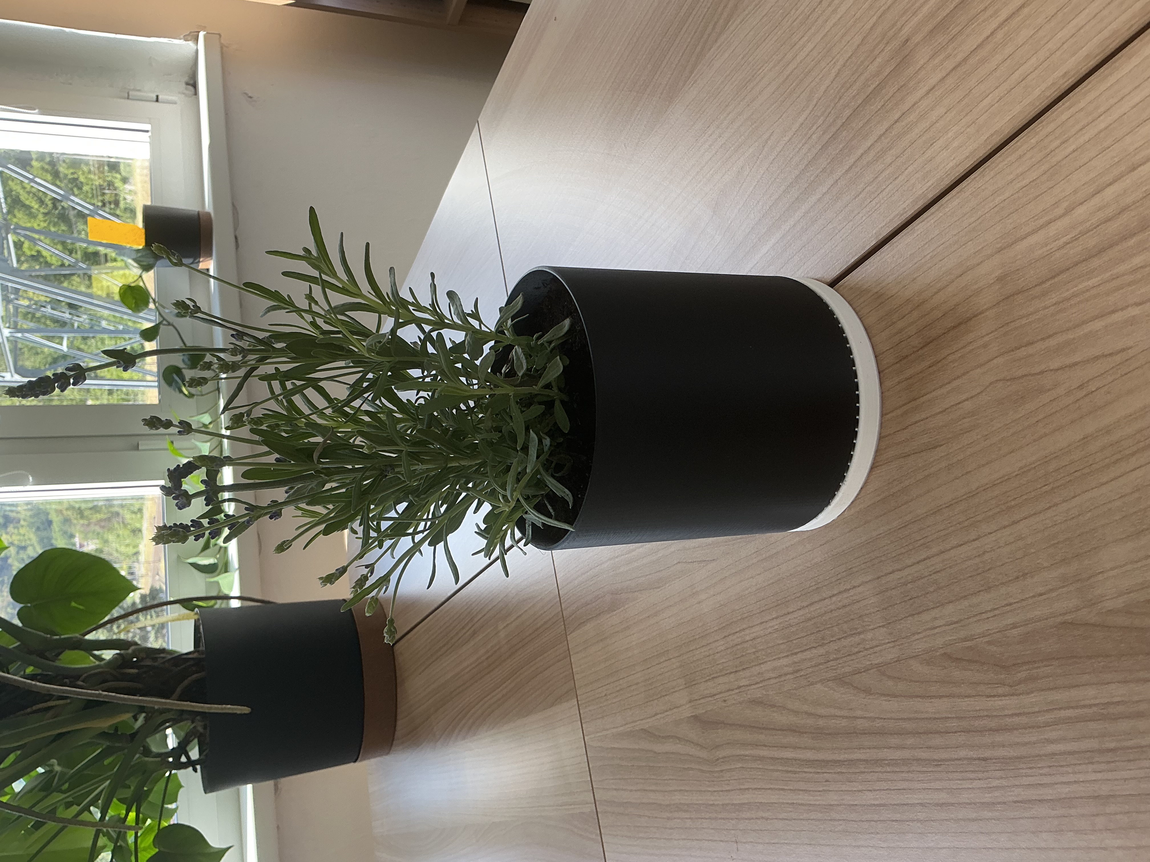 Flowerpot