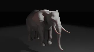 Elephant