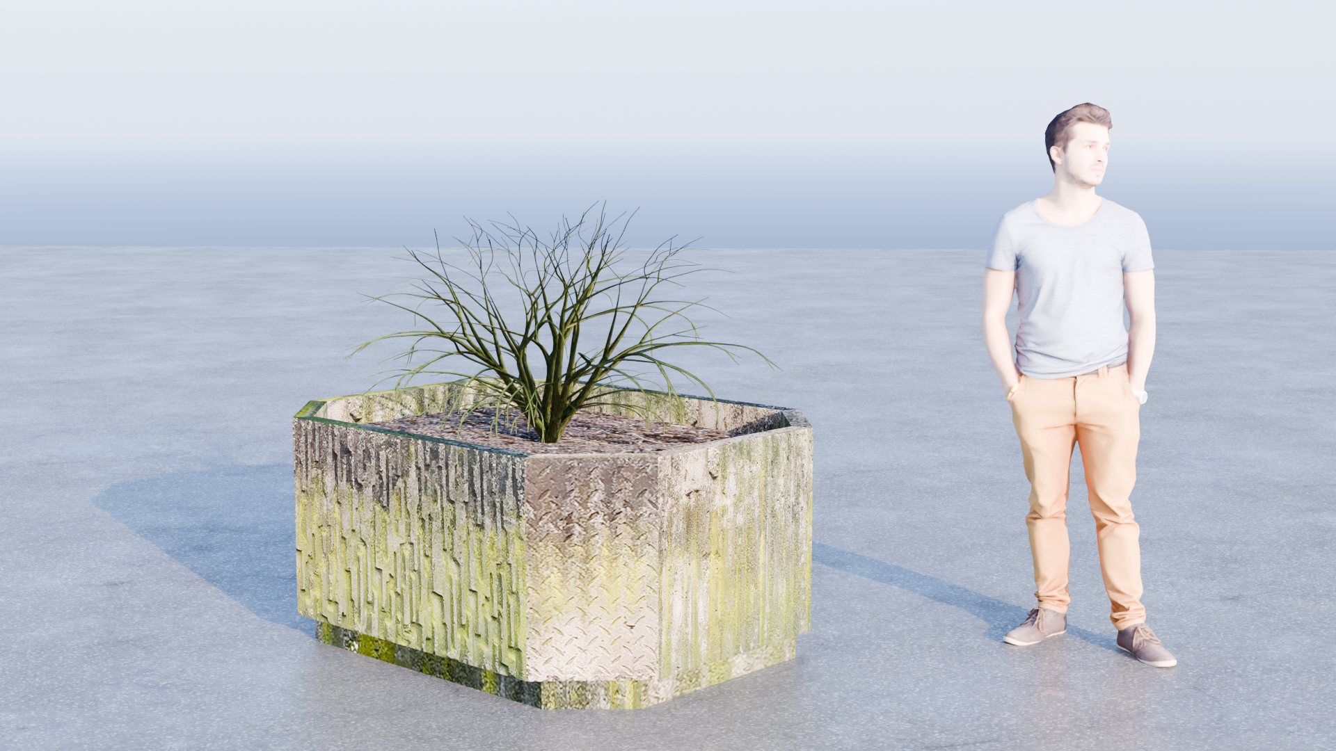 concrete flower pot - big