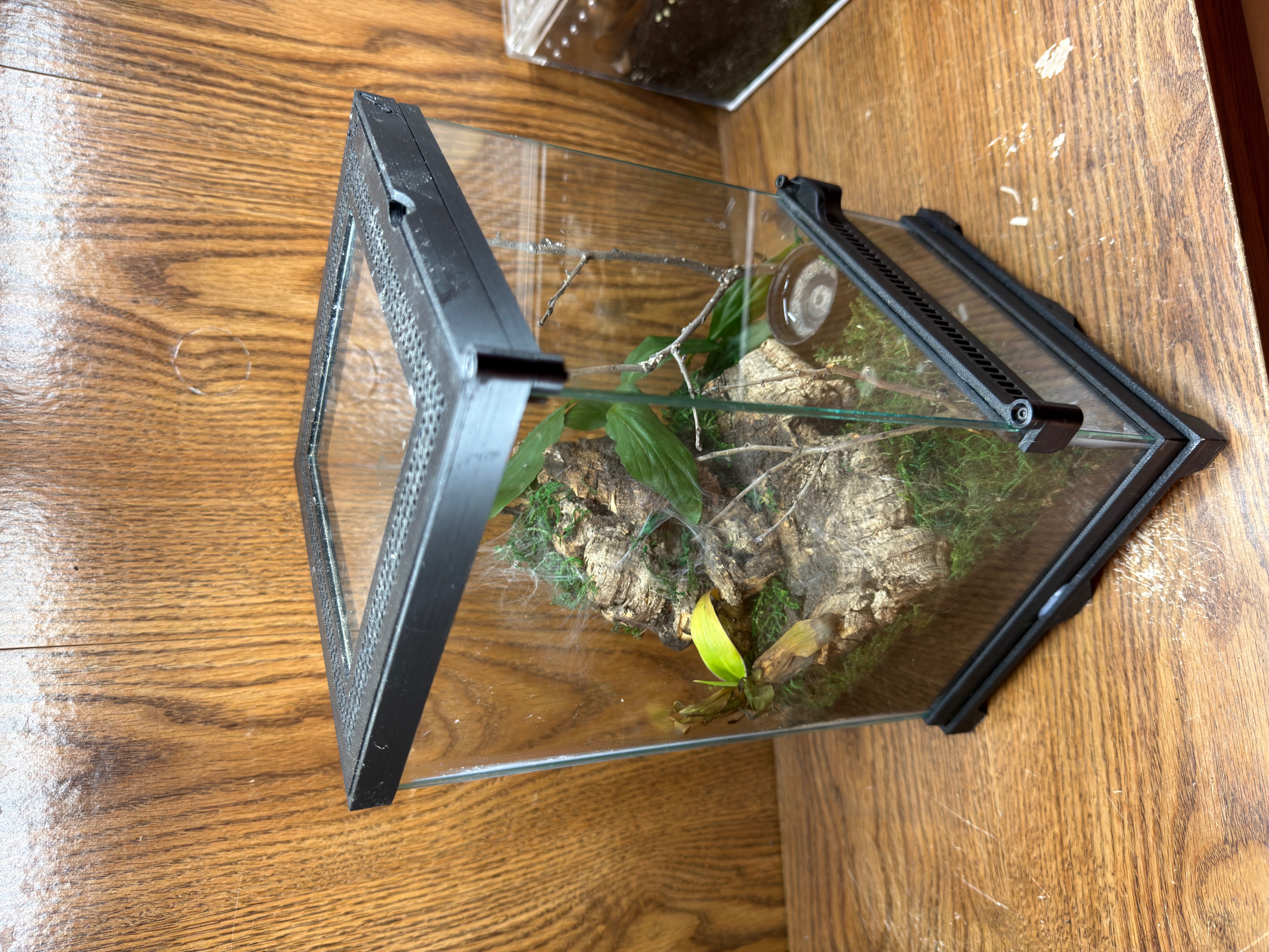 8 x 8 x 12 Stackable Arboreal Enclosure
