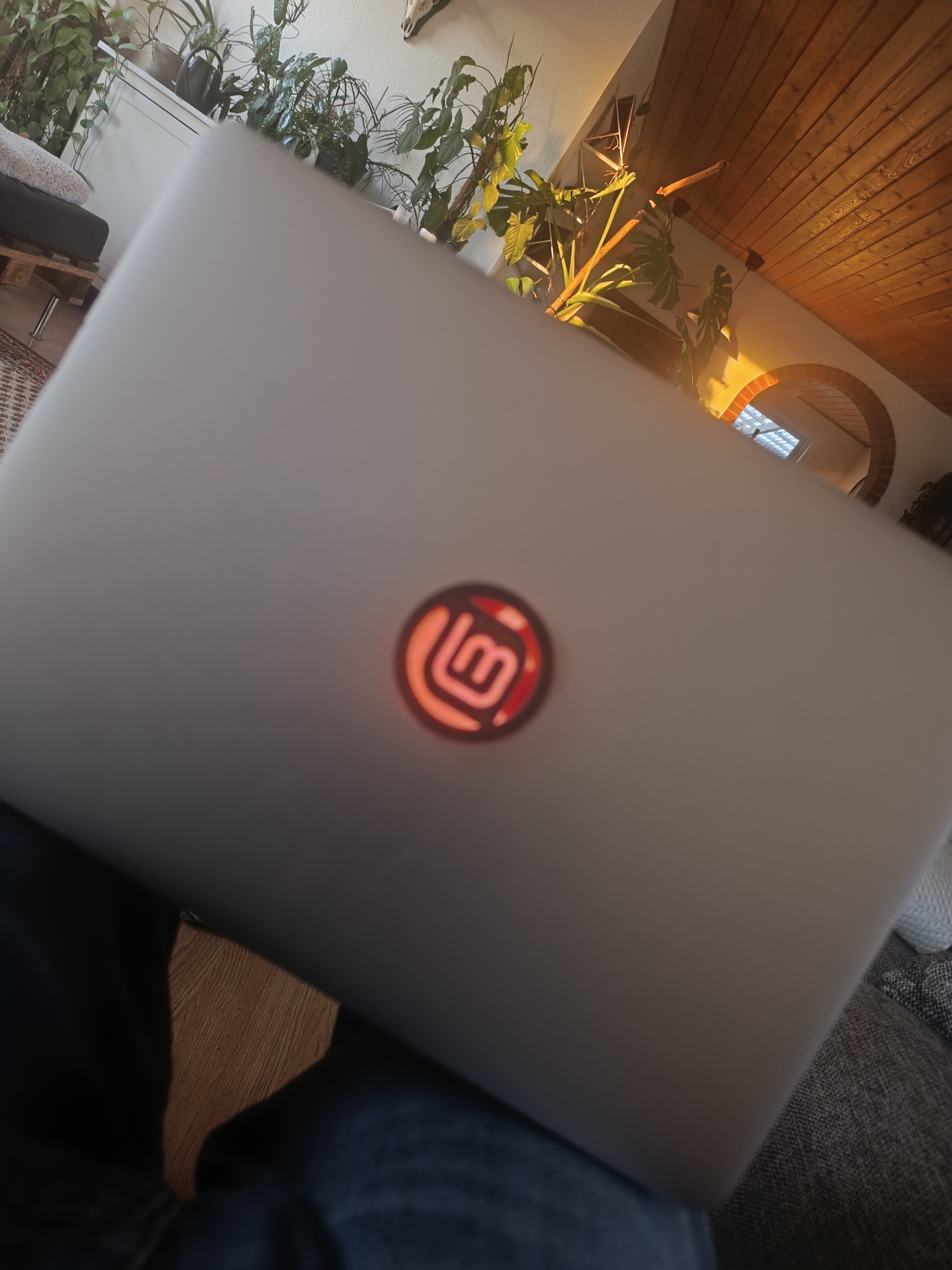 Linux Mint emblem for MacBooks
