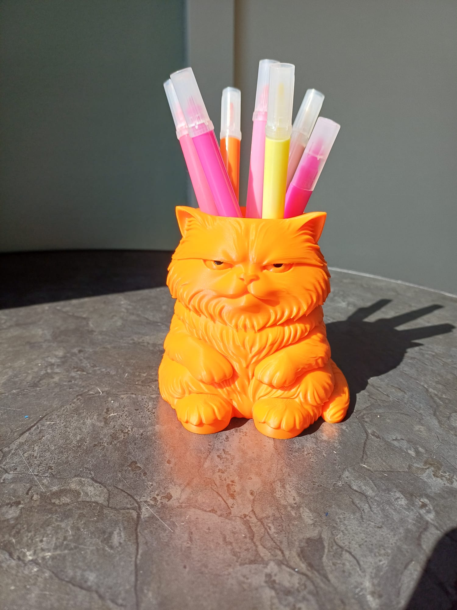 Grumpy Cat Pen Holder – Cute Desk Organizer