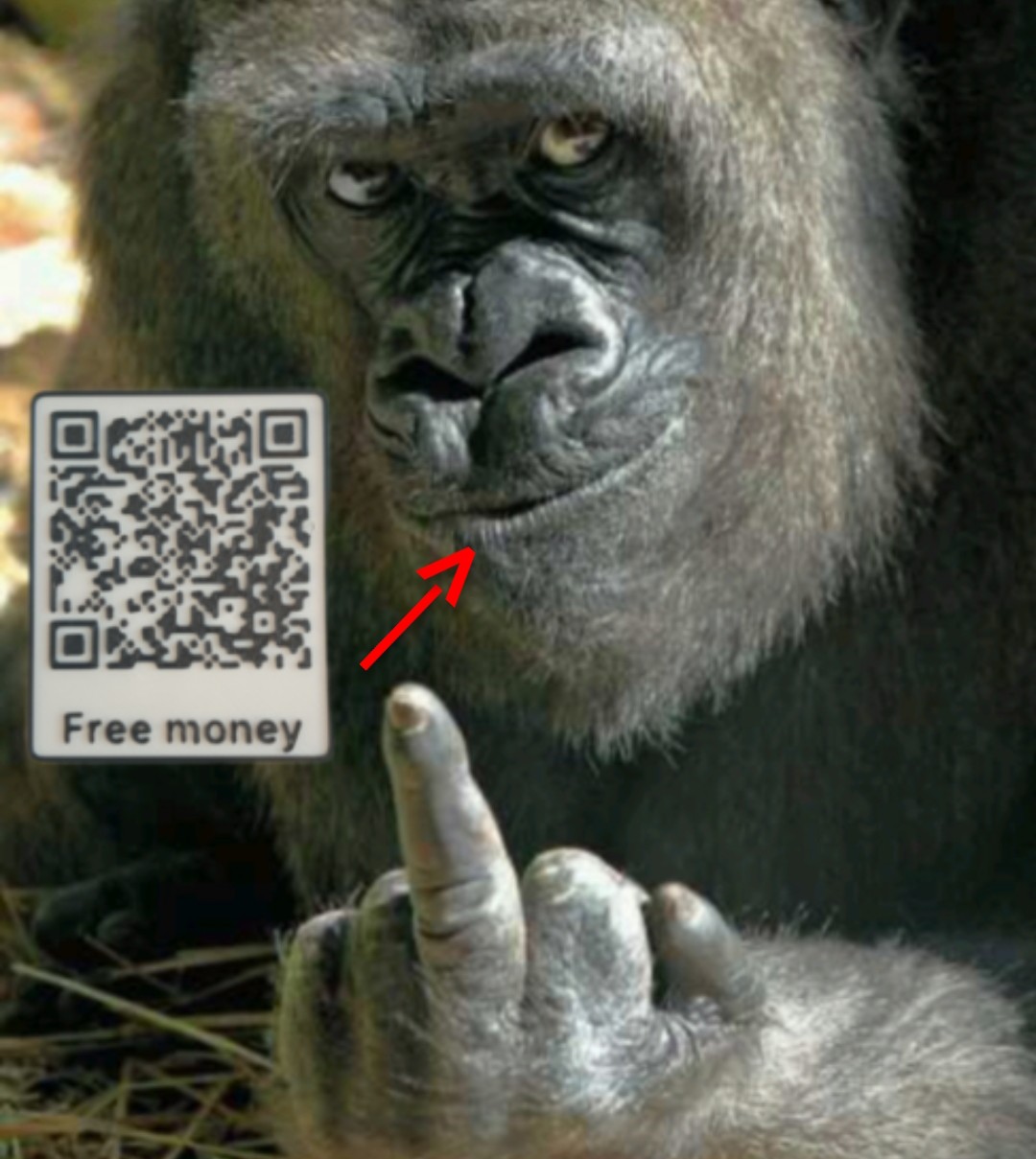 gorilla prank