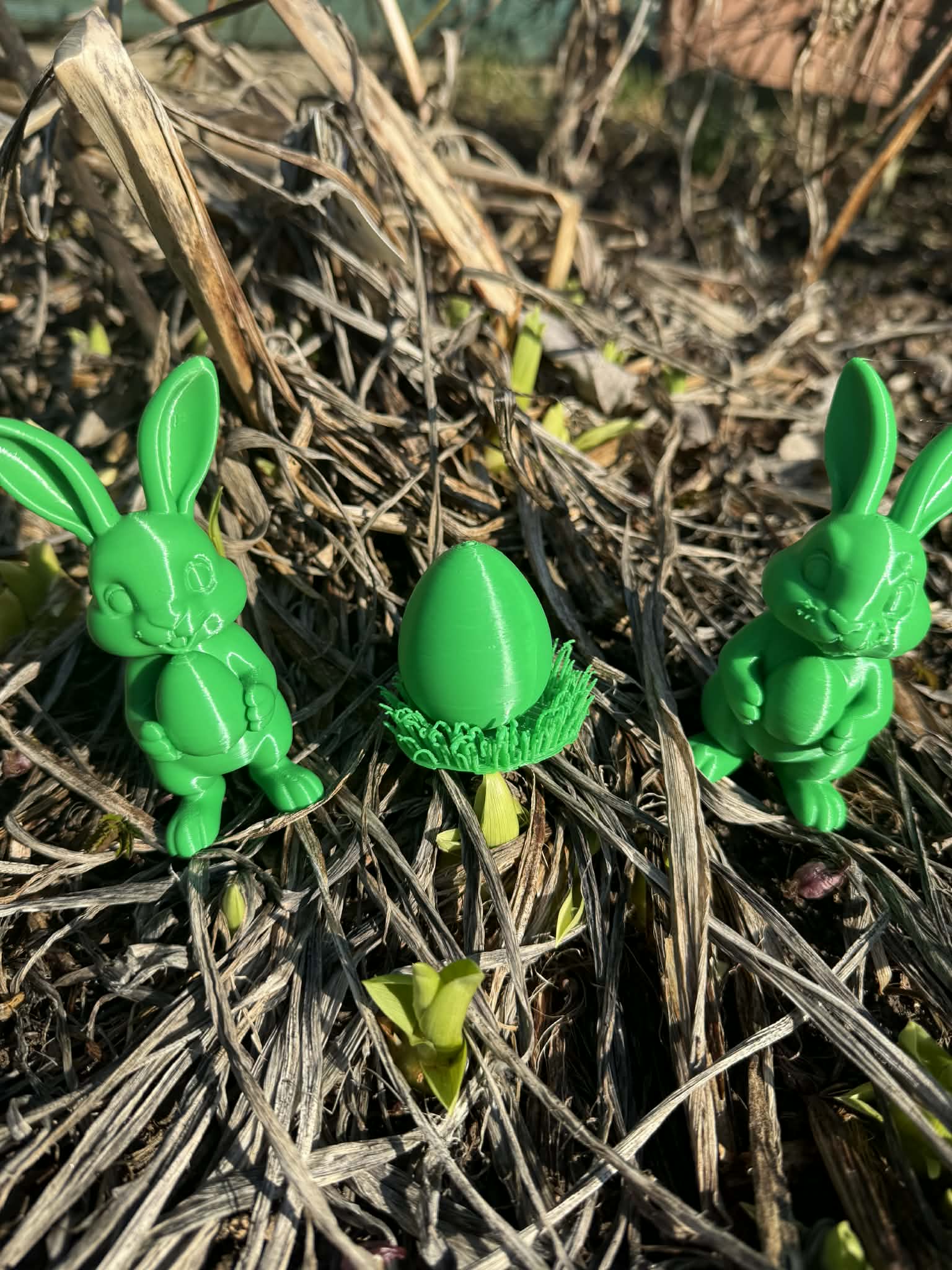 Easter bunnies and egg in the grass