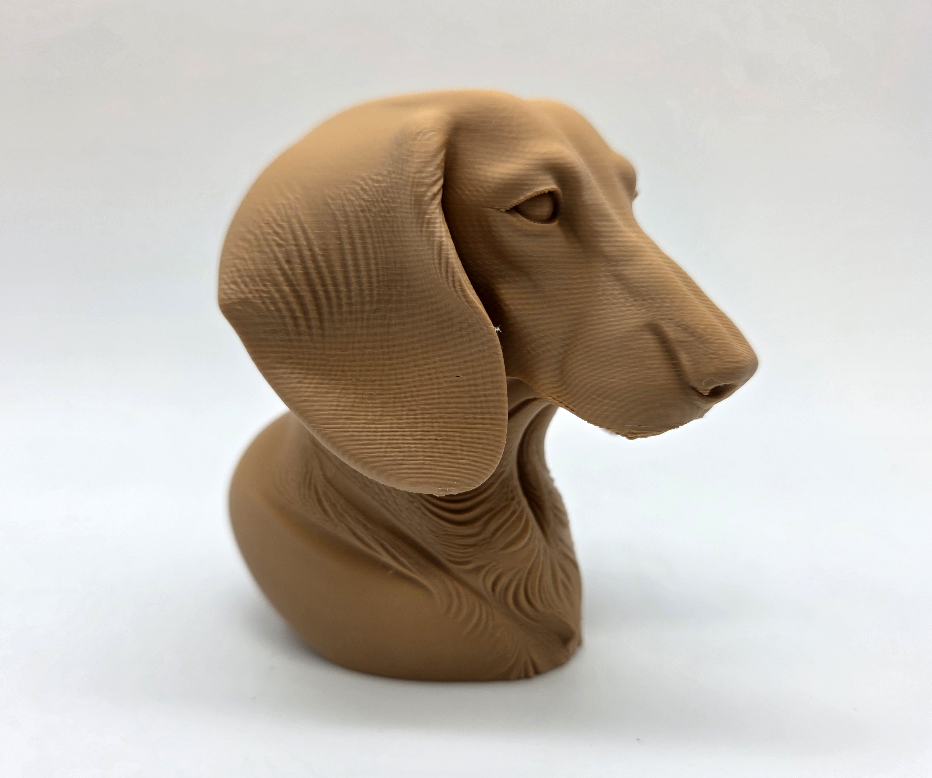 Dachshund Bust — miniatura 4