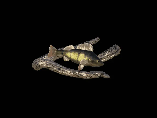 European Perch Sculpture on Branch Base
