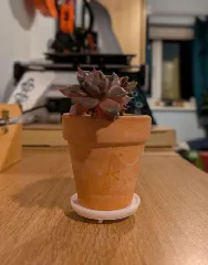Plant coaster with legs