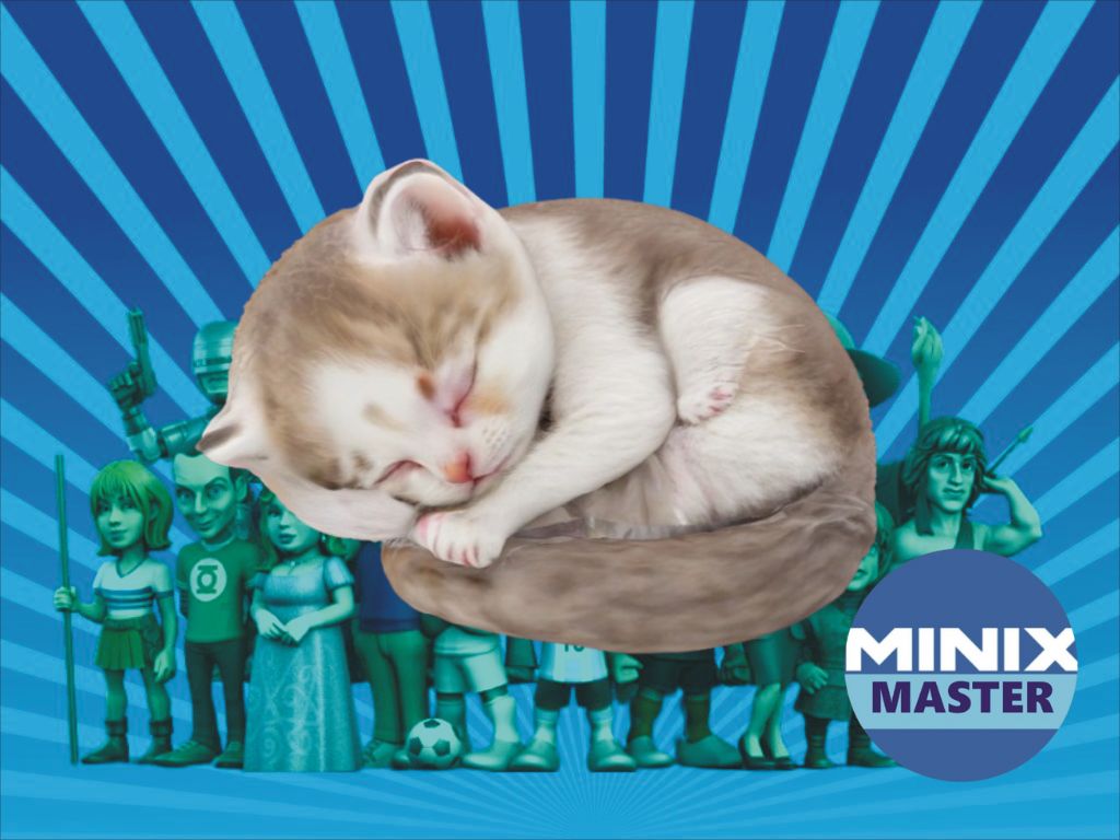 small sleeping kitten