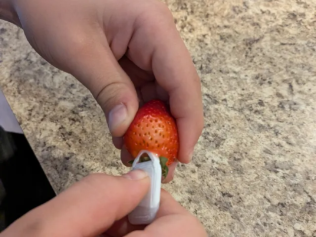 Strawberry Stem Remover