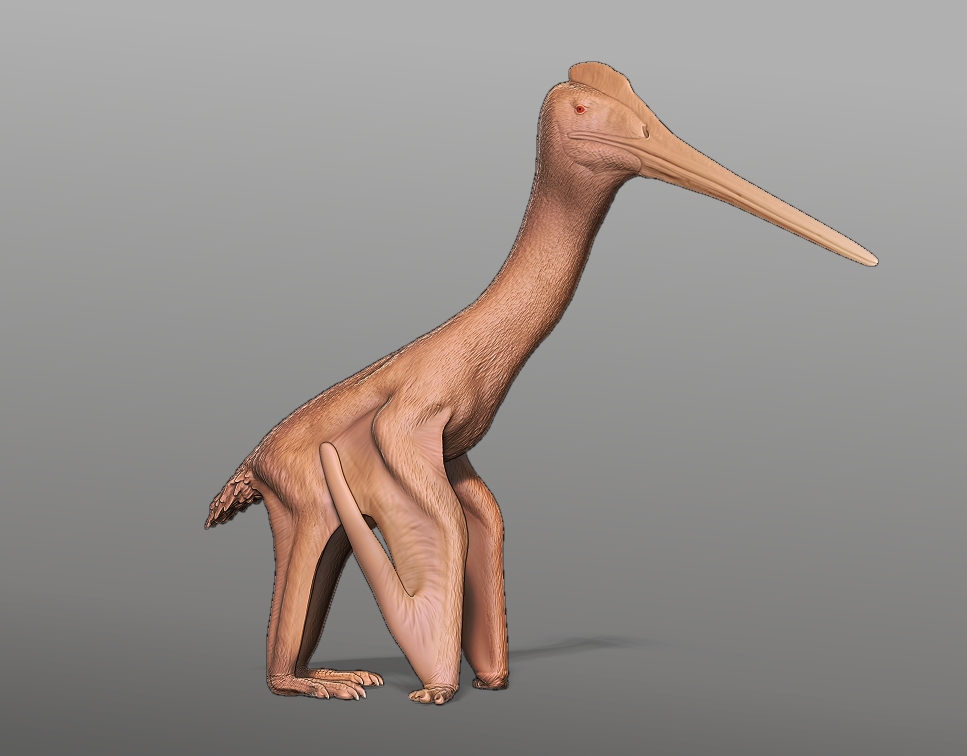 Leptostomia Sculpture
