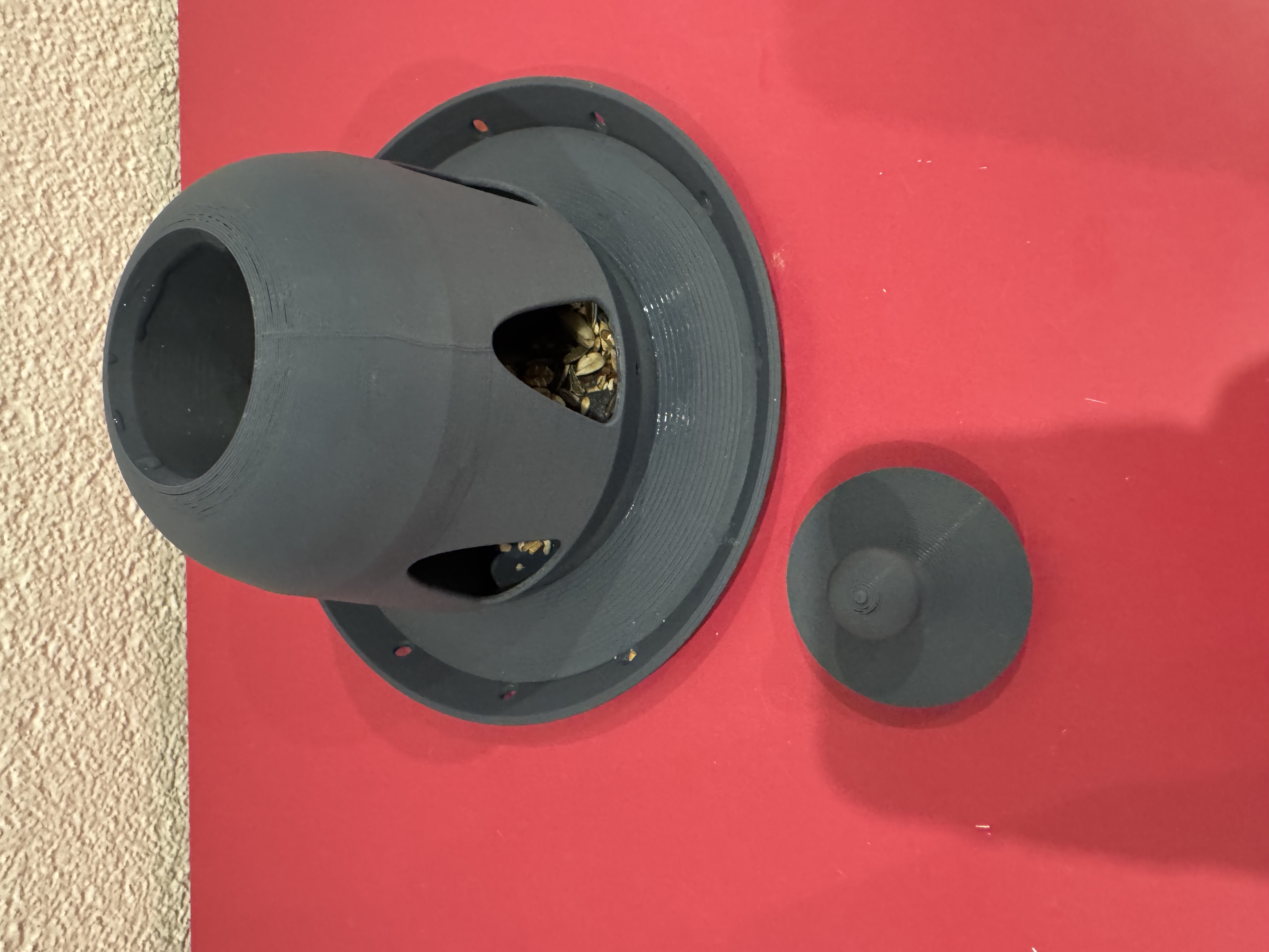 Vogelfutterhäuschen / Birdfeeder