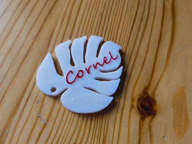 Monstera leaf keychain