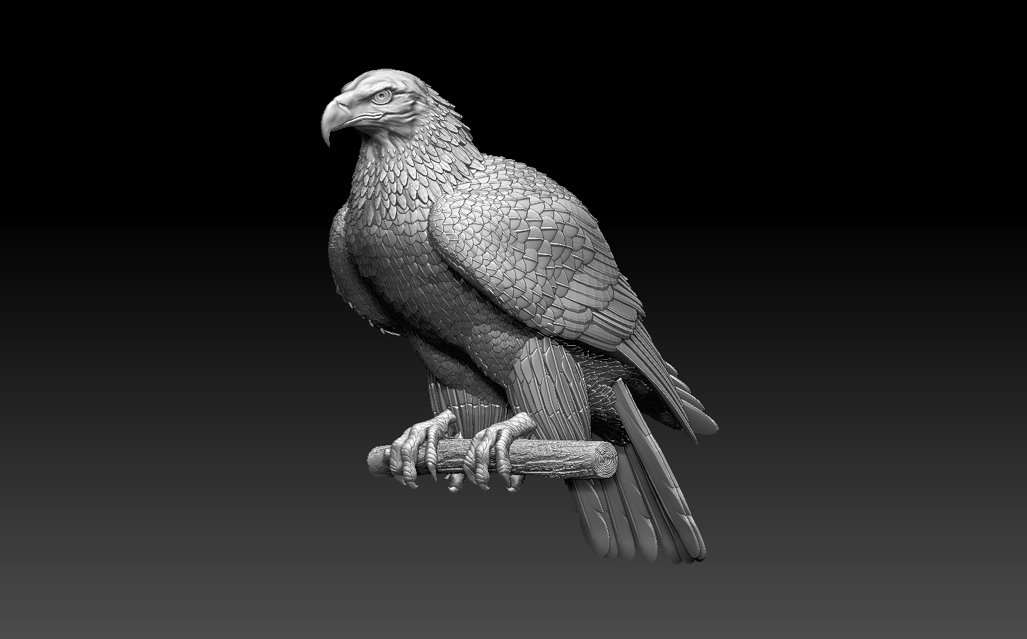eagle