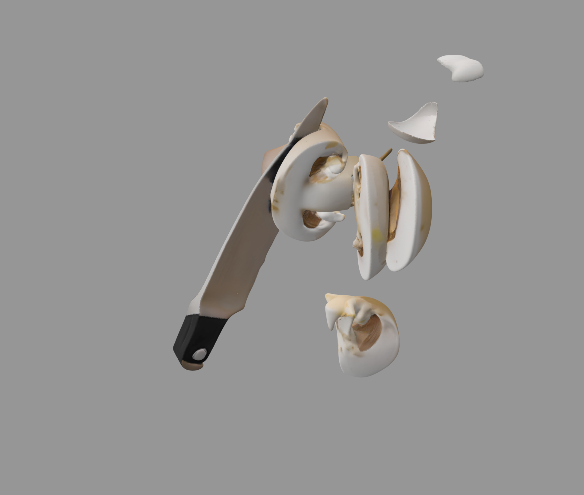 A model mushroom for your kitchen